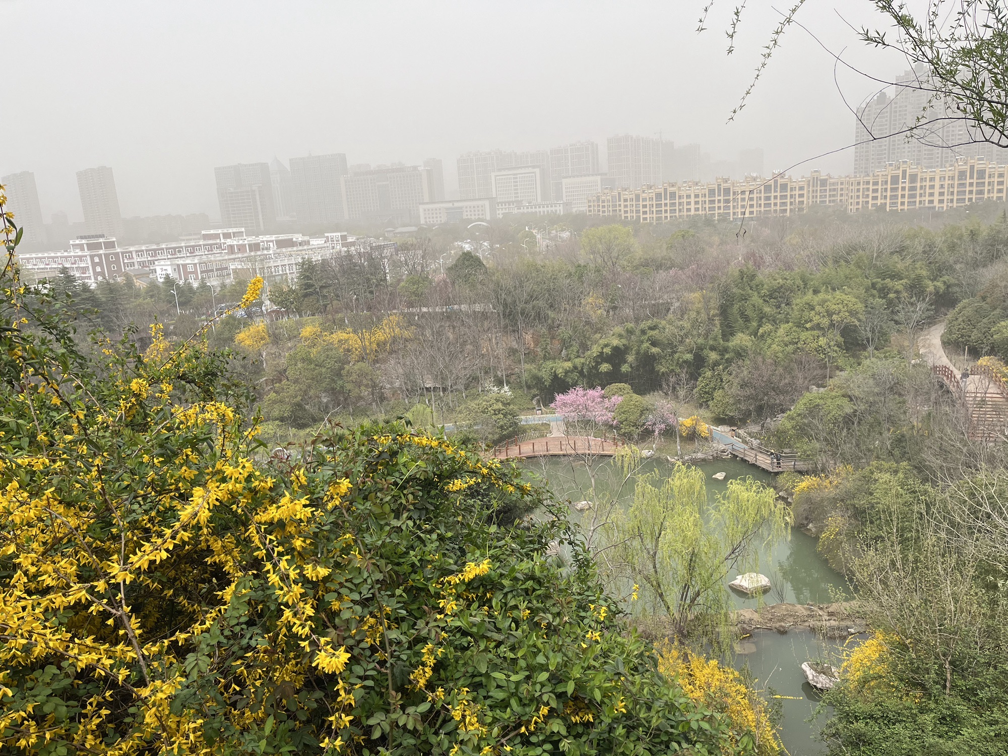 徐州金龙湖风景区旅行图片 1