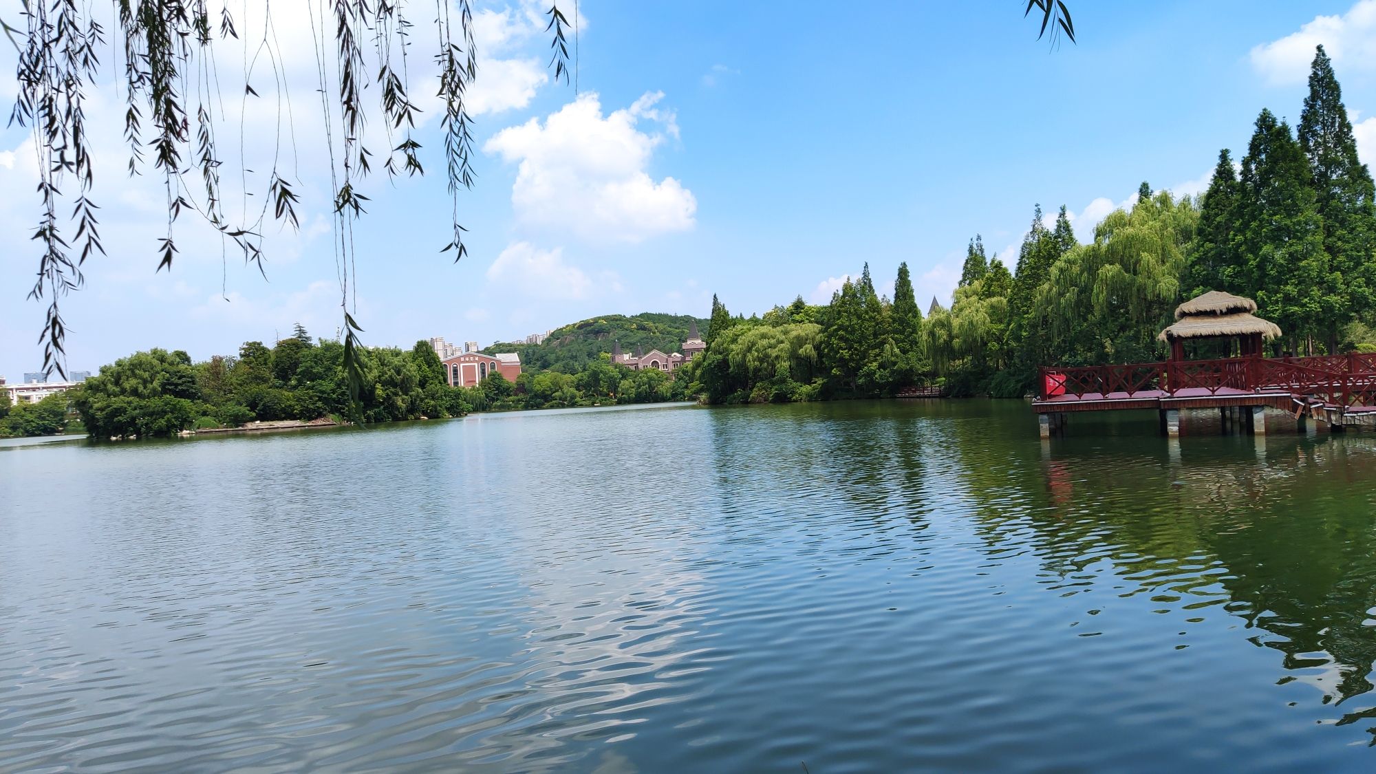On-site photo 2 of Jin Long Hu