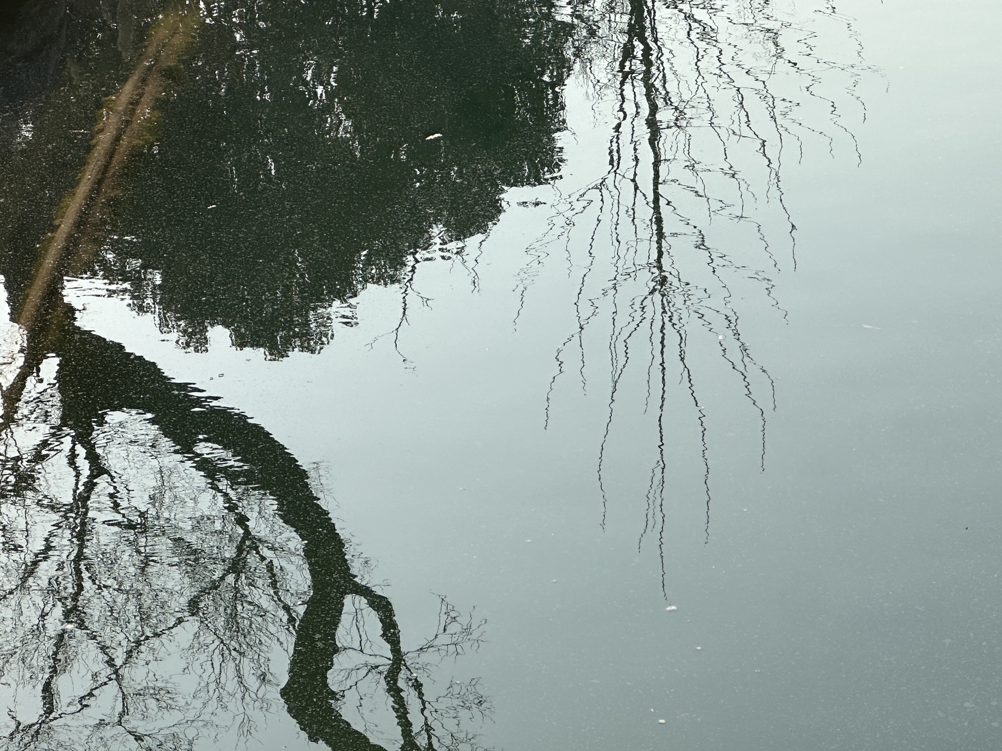 徐州金龙湖风景区旅行图片 2