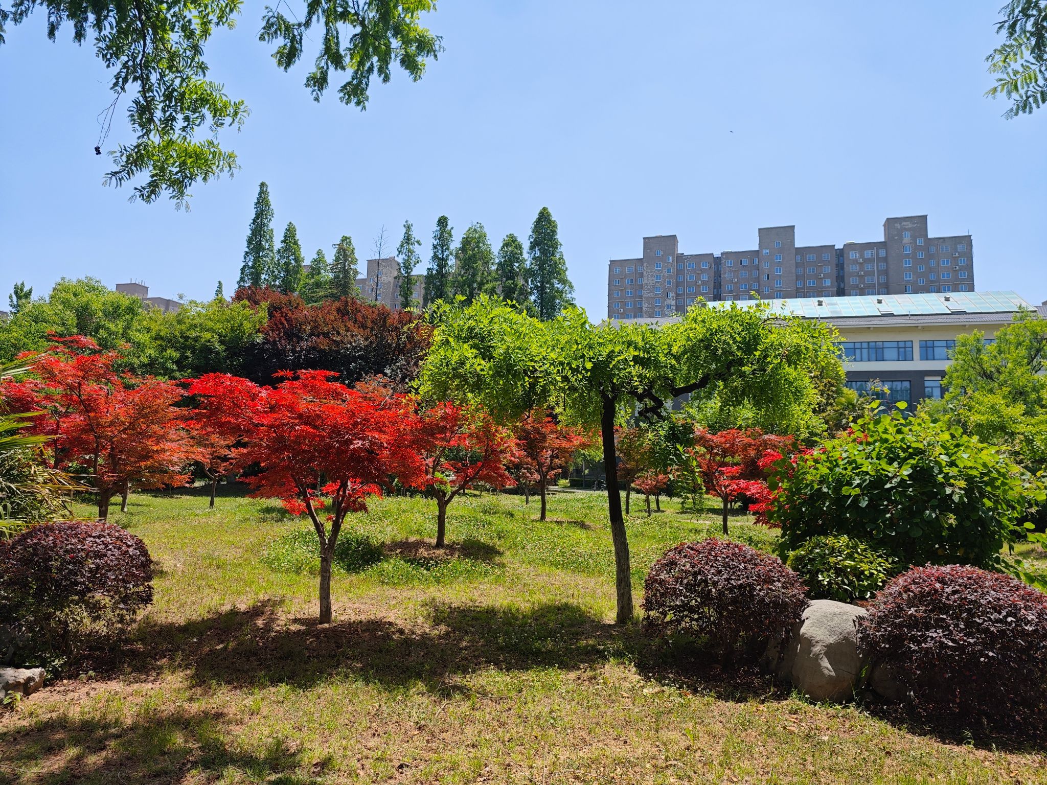 徐州市农业科学院
