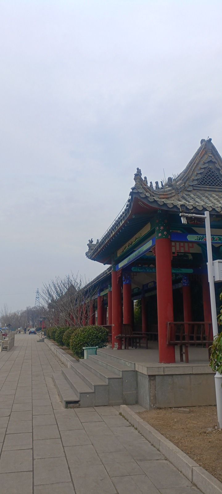 沛县微山湖千岛湿地旅行图片 2