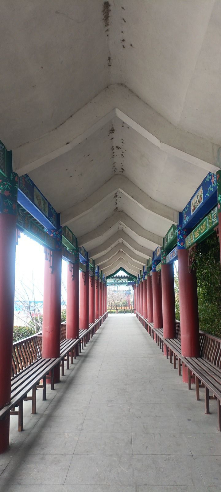 沛县微山湖千岛湿地旅行图片 3