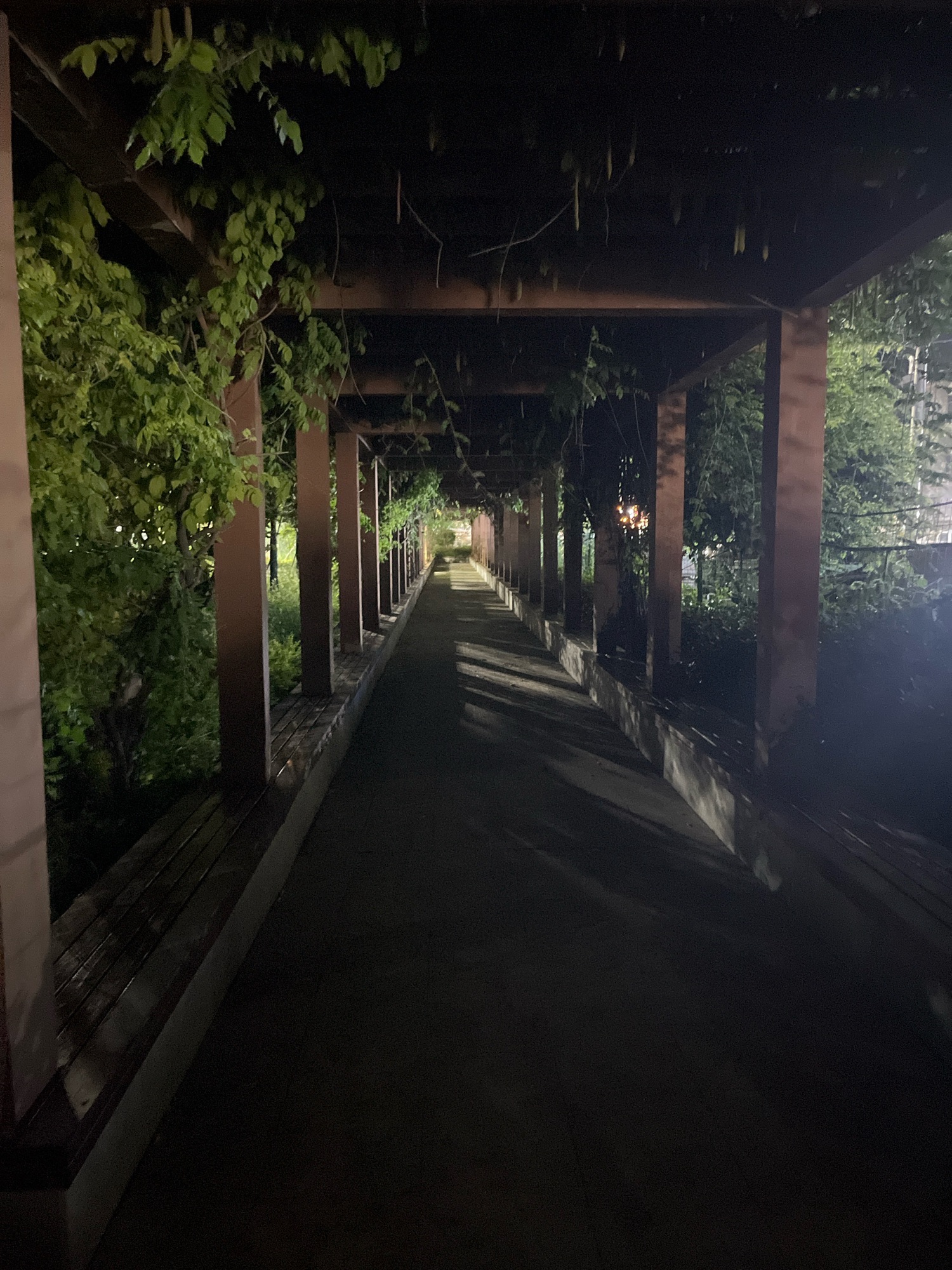 西翠园公园旅行图片 2