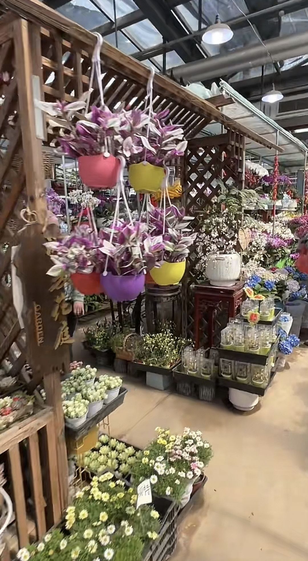 徐州植物园旅行图片 1