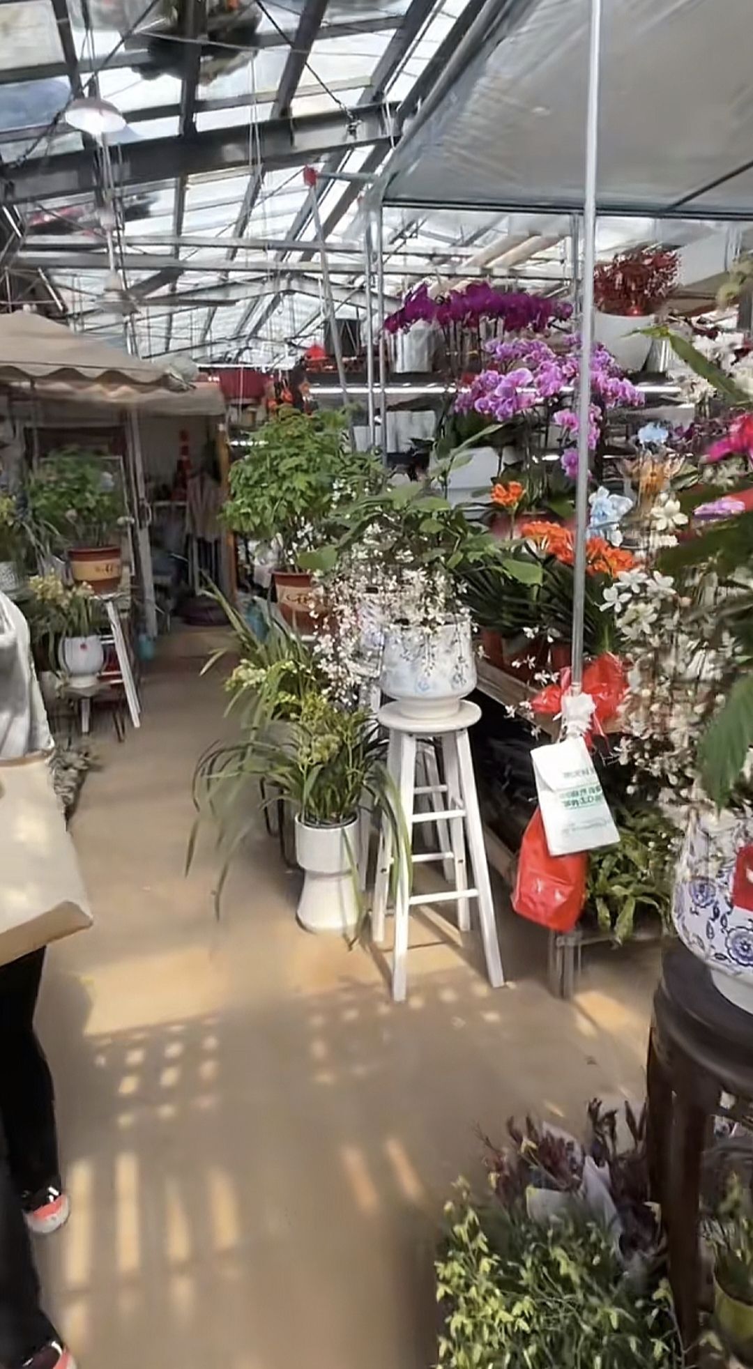 徐州植物园旅行图片 2