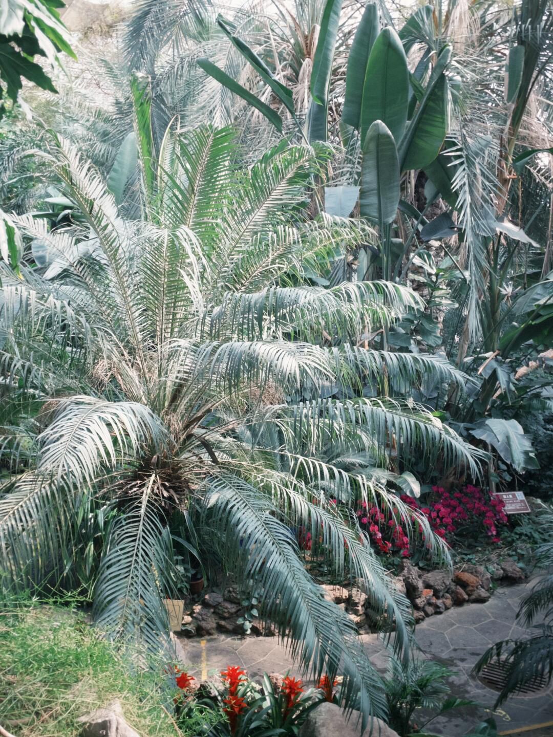 徐州植物园旅行图片 1