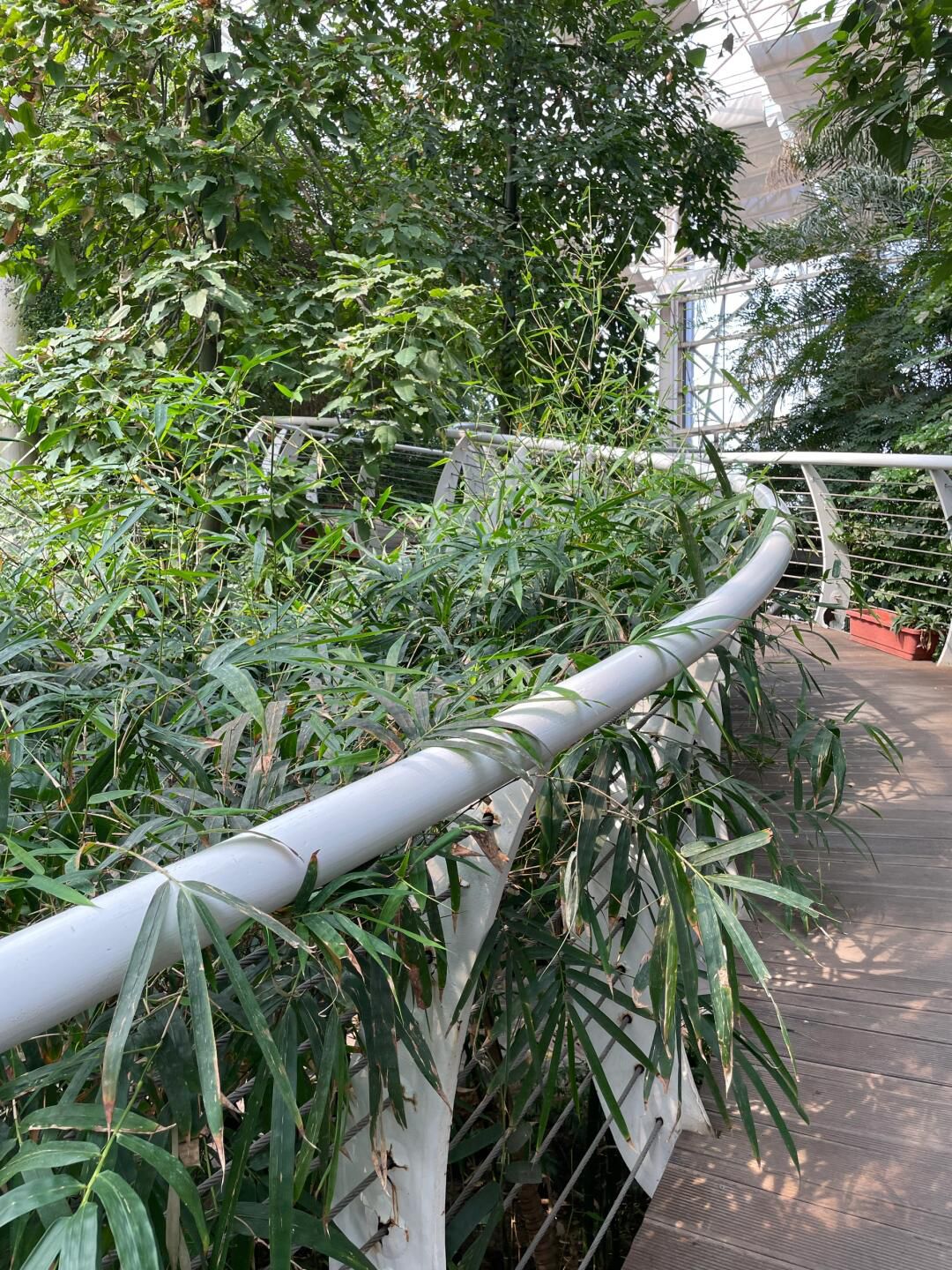 徐州植物园旅行图片 1
