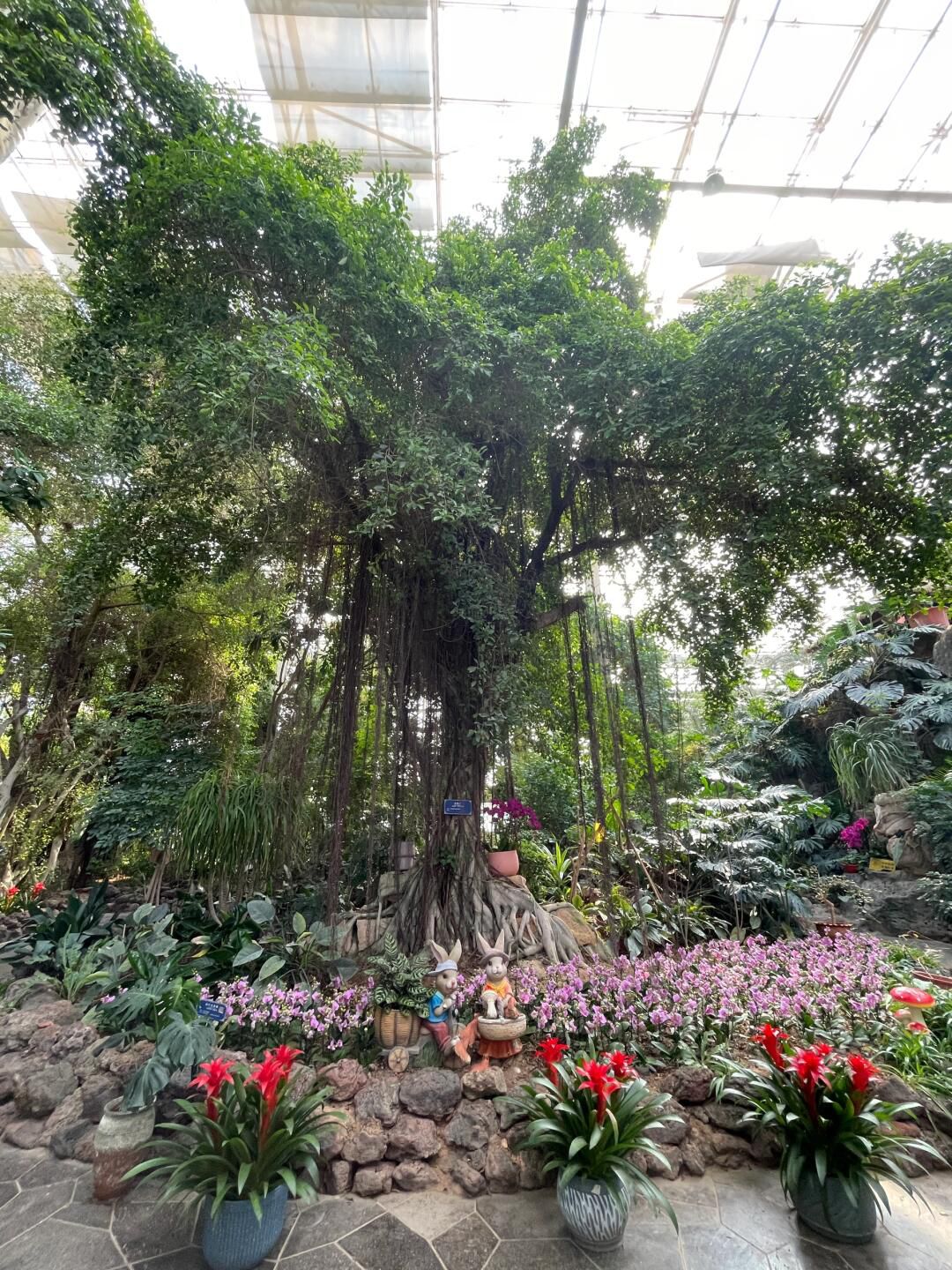 徐州植物园旅行图片 2