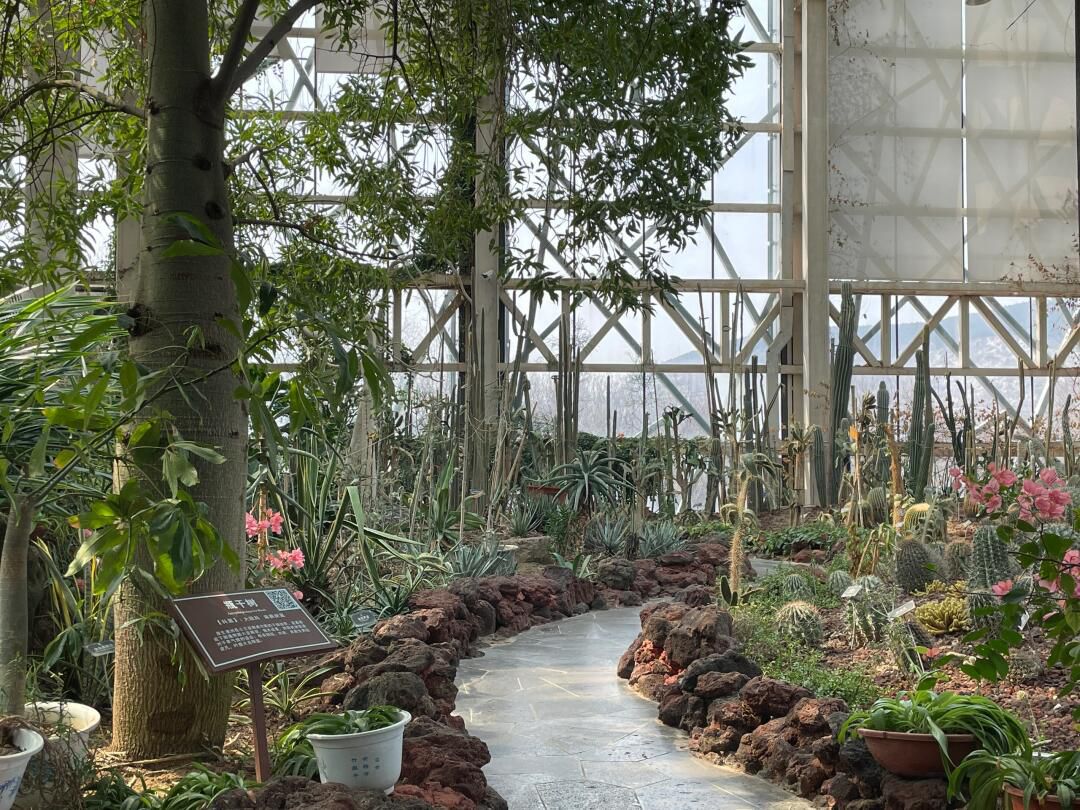 徐州植物园旅行图片 3