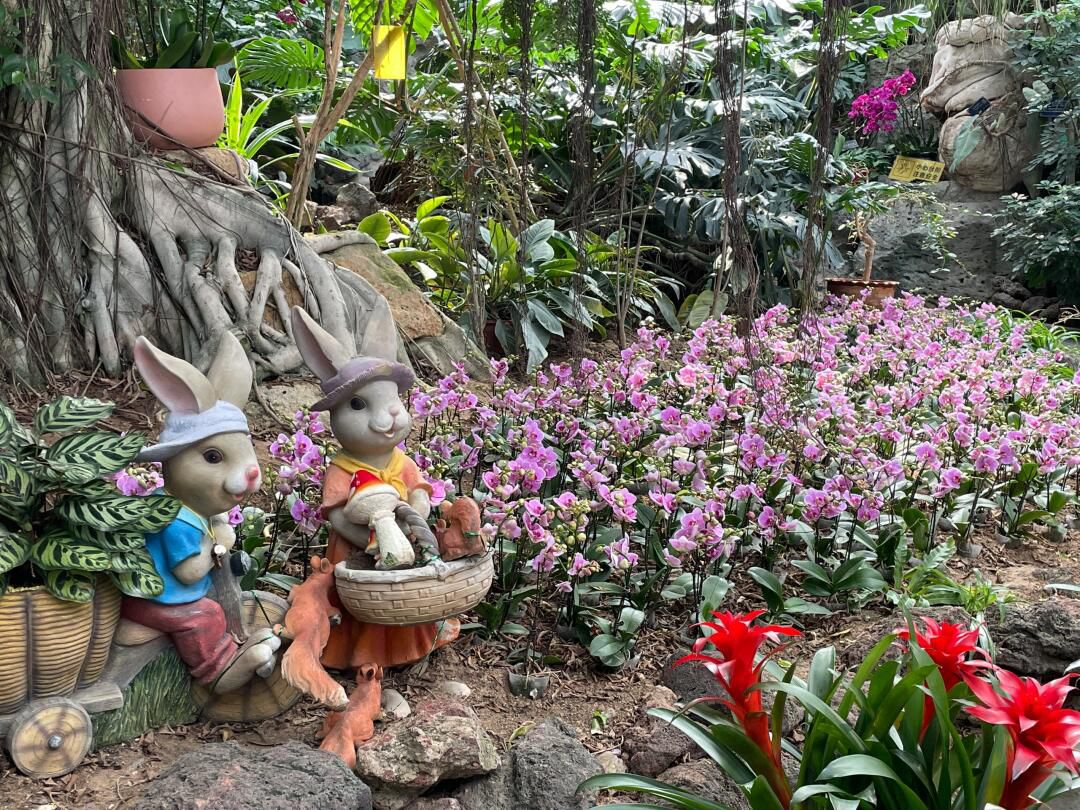徐州植物园旅行图片 2