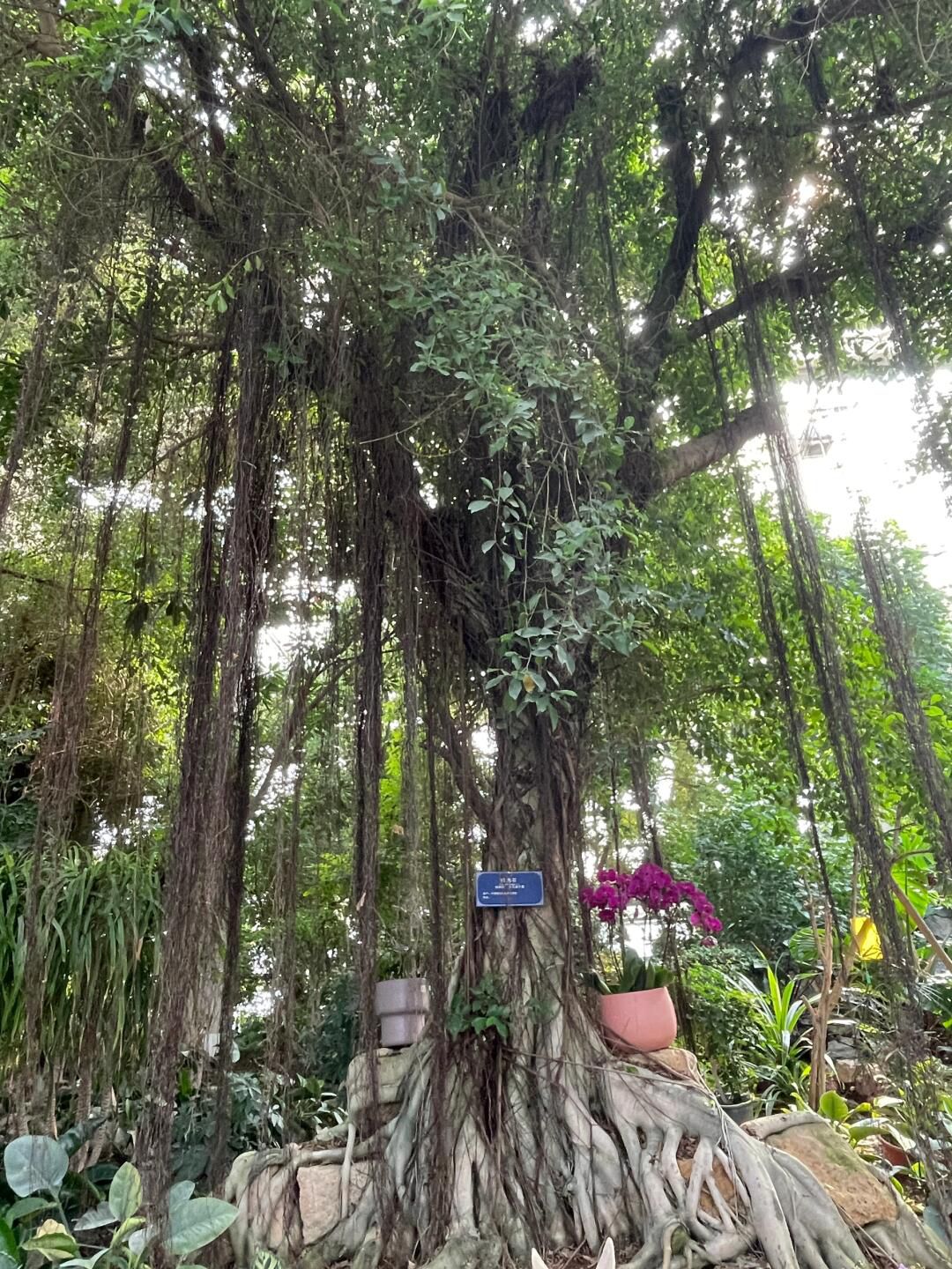 徐州植物园旅行图片 3