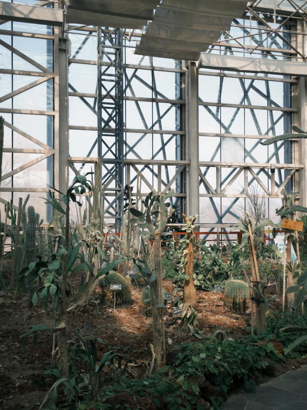 徐州植物园旅行图片 3