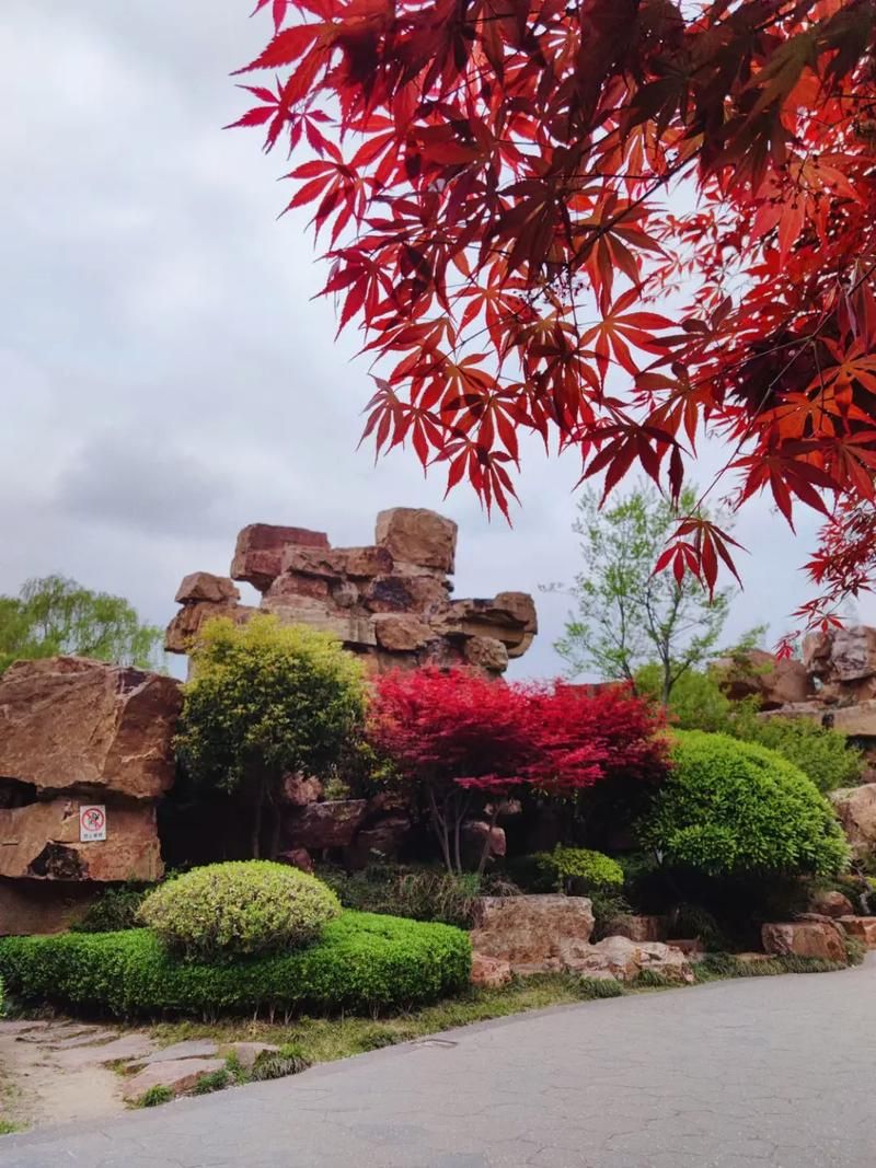 馨园旅行图片 1