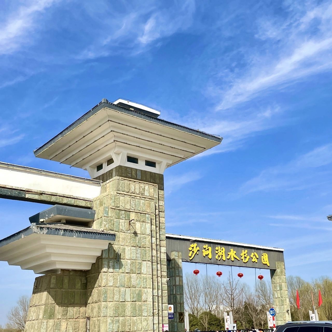 沙沟湖水杉公园