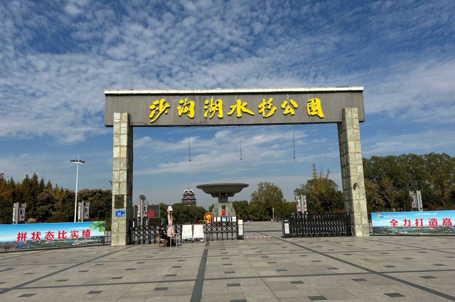 沙沟湖水杉公园旅行图片 1