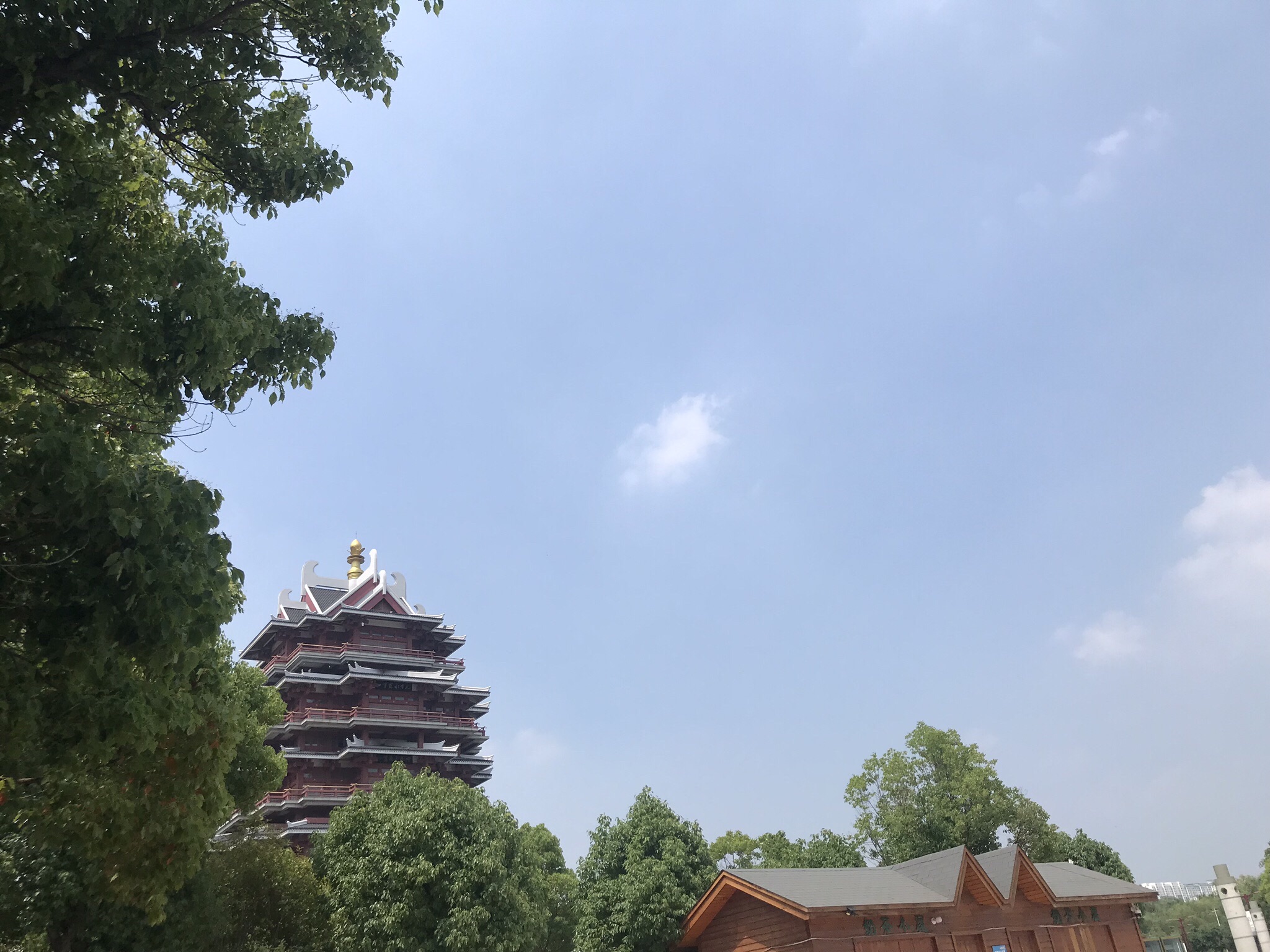 沙沟湖水杉公园旅行图片 1