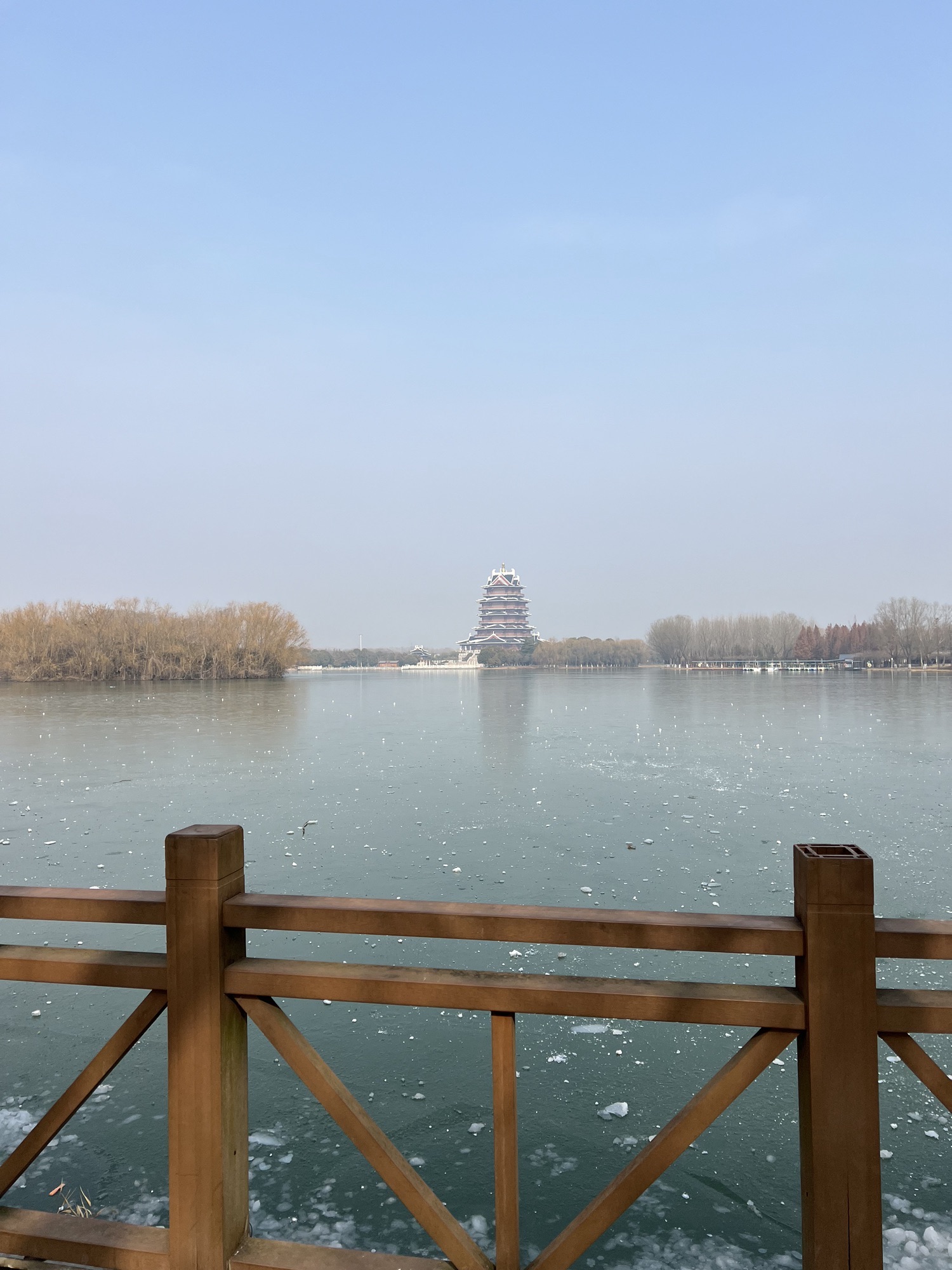 沙沟湖水杉公园旅行图片 1