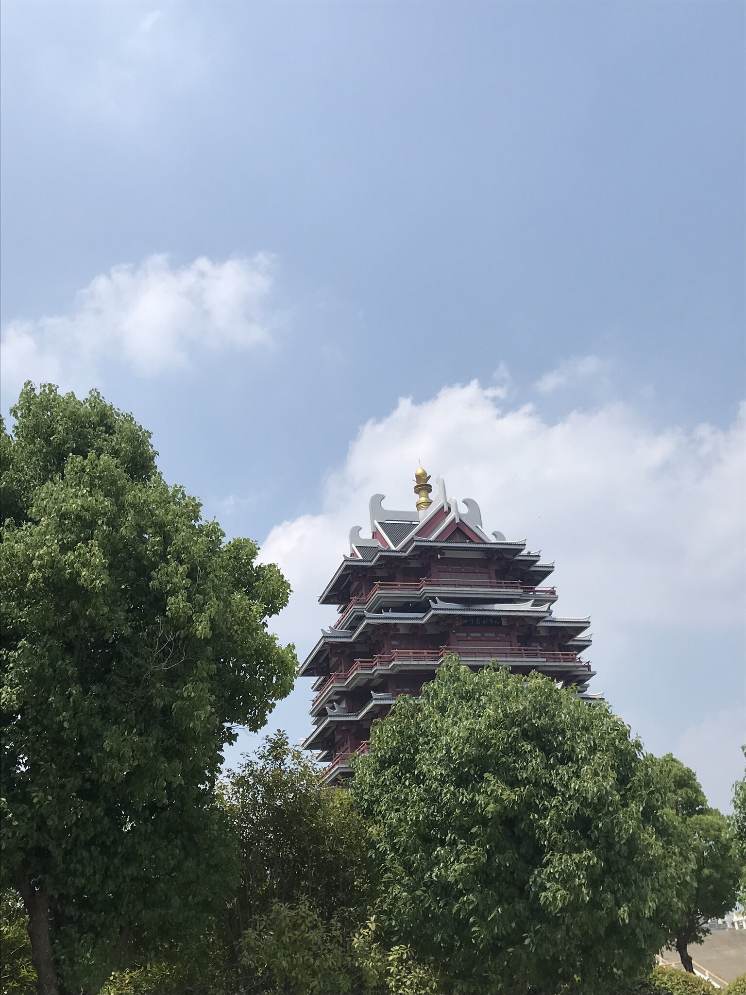 沙沟湖水杉公园旅行图片 2