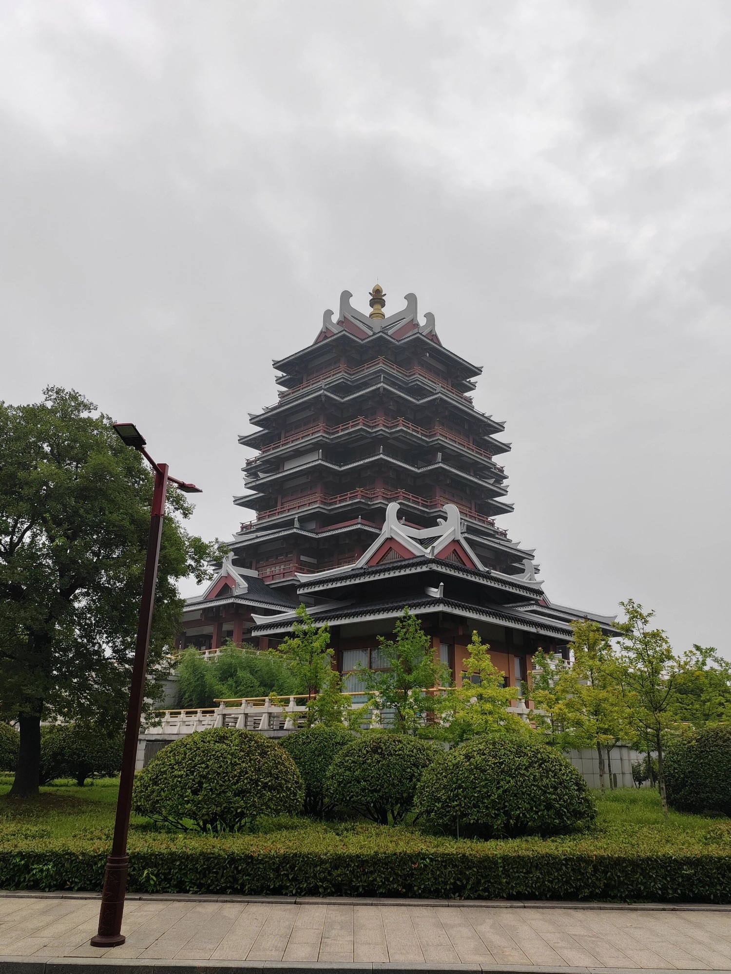 沙沟湖水杉公园旅行图片 1
