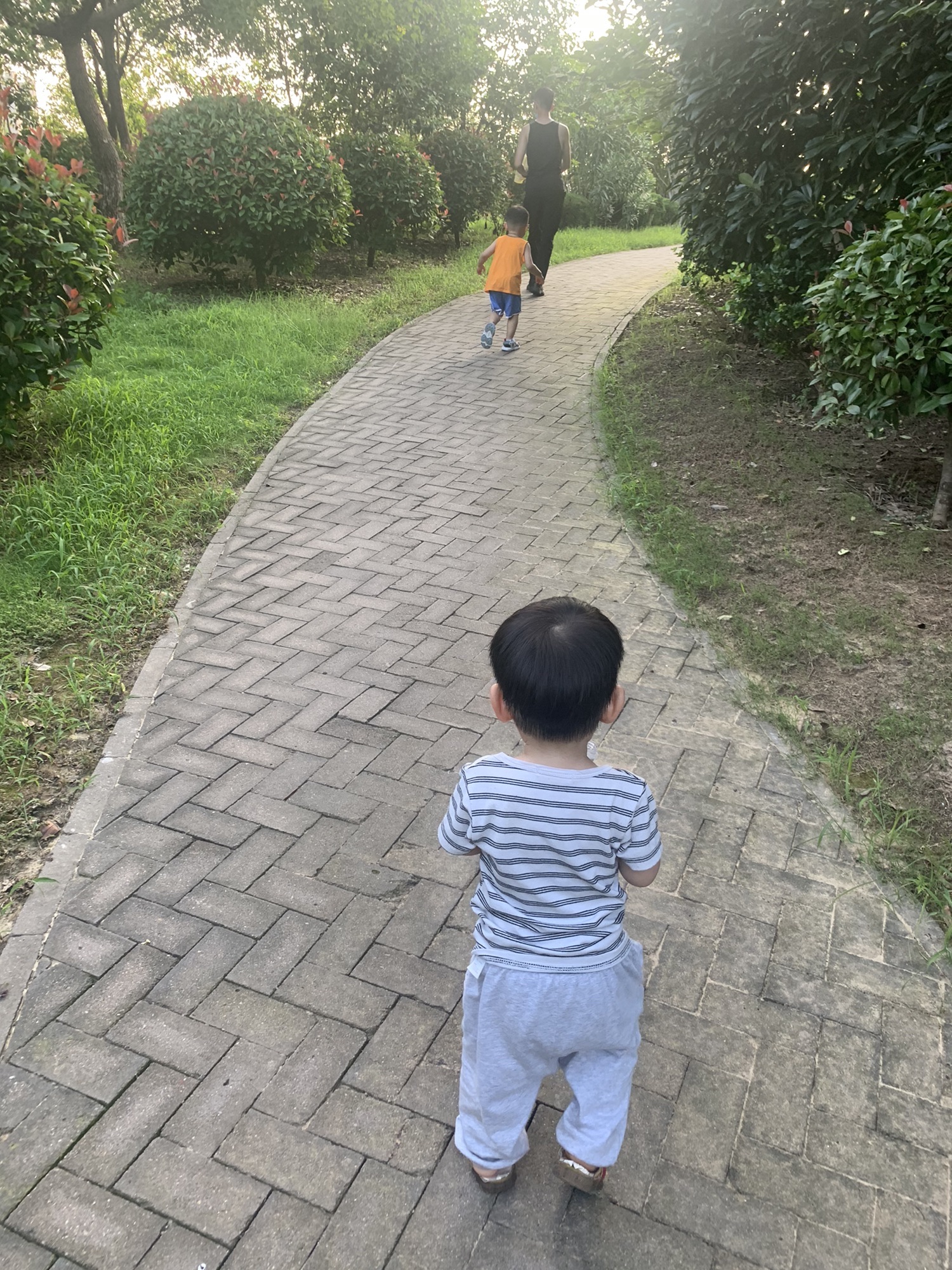 栖凤园旅行图片 2
