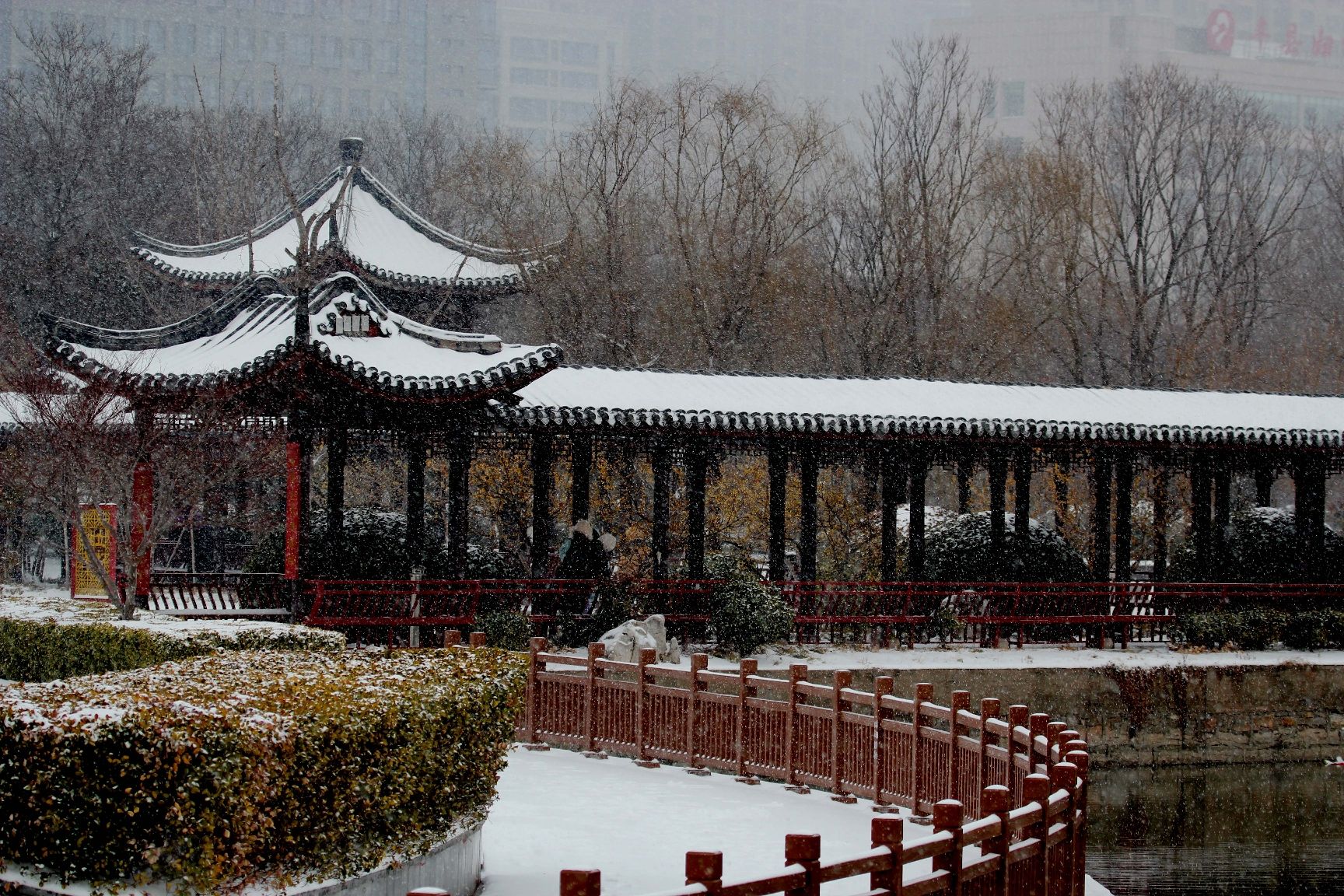 栖凤园旅行图片 1