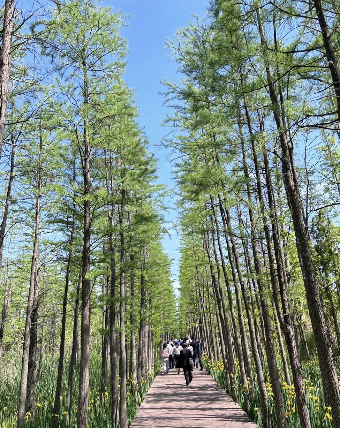 潘安湖国家湿地公园旅行图片 2