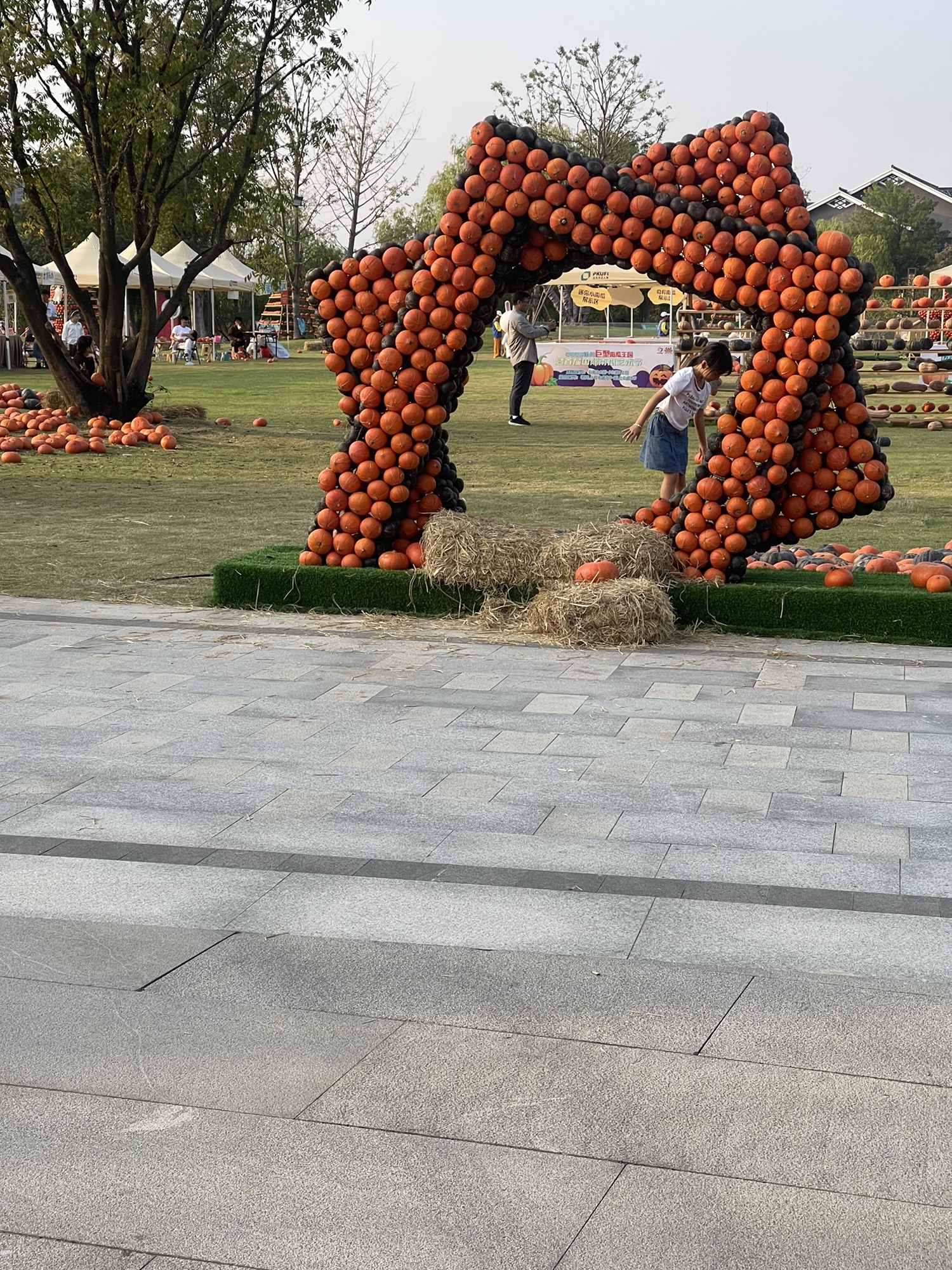 潘安湖国家湿地公园旅行图片 2
