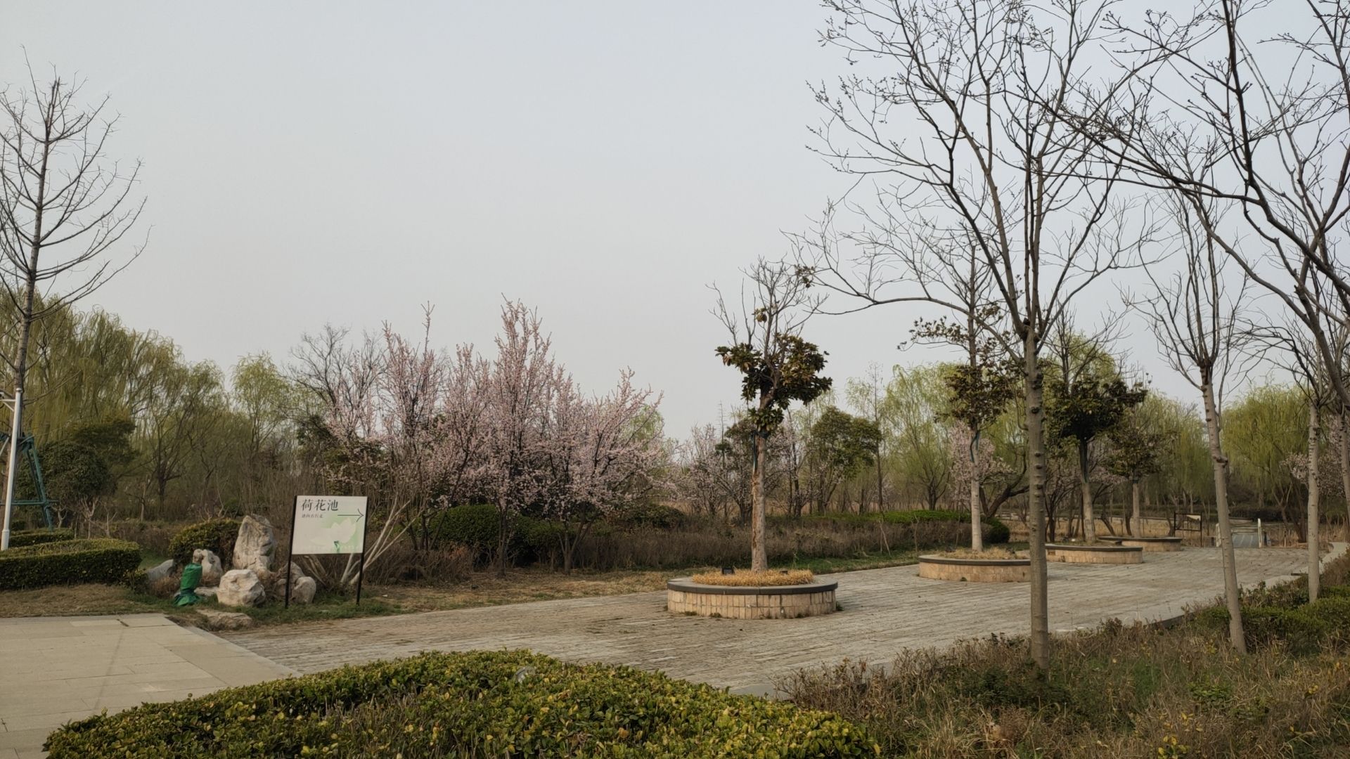 潘安湖国家湿地公园旅行图片 2