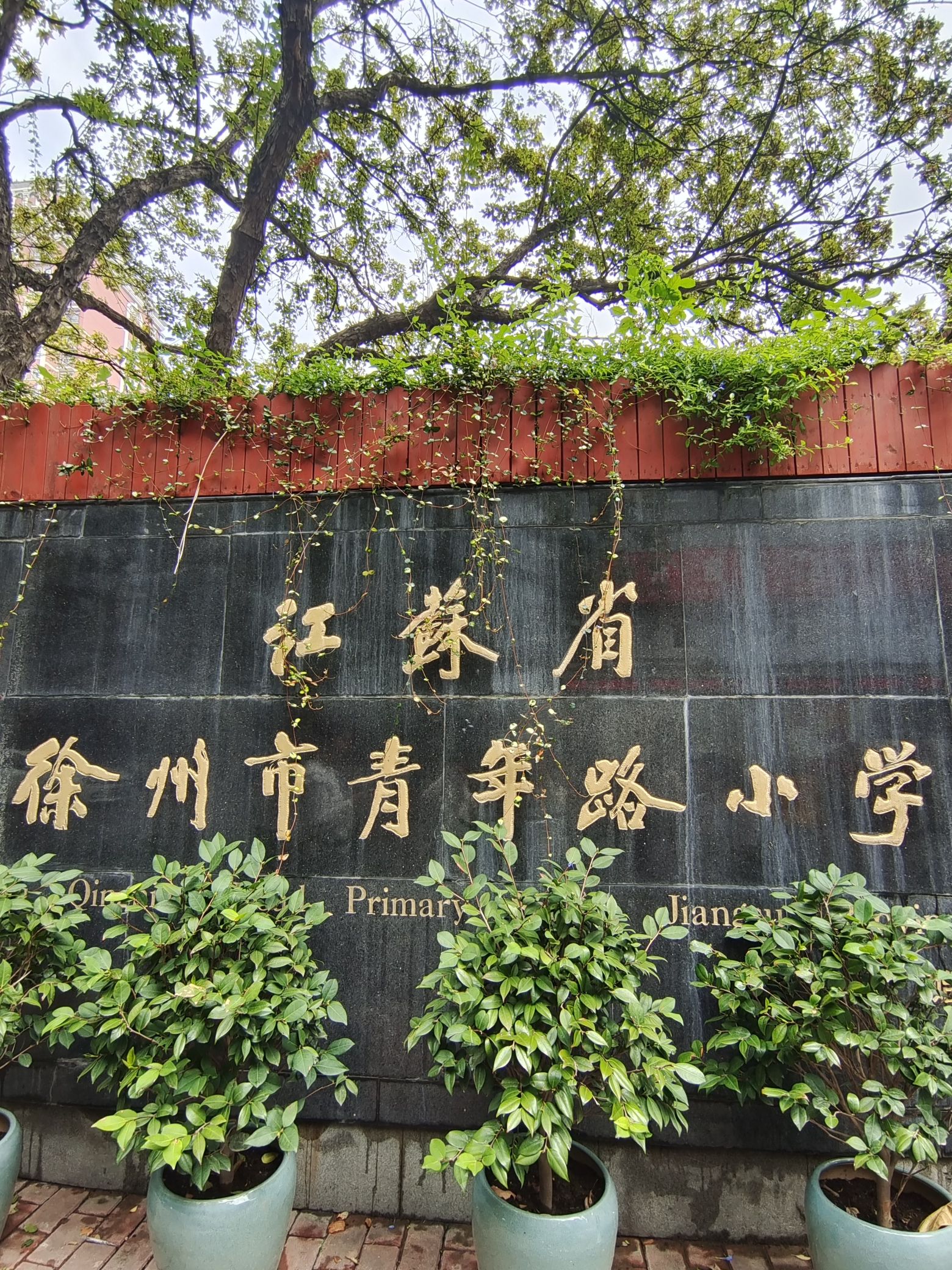 江苏省徐州市青年路小学