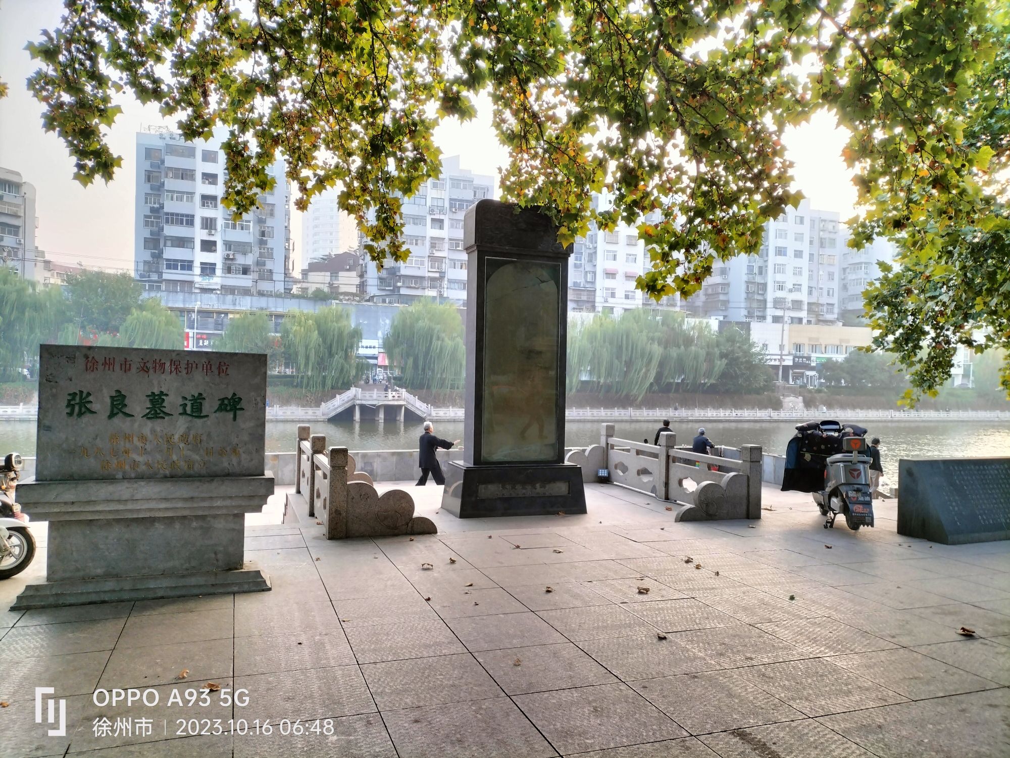 青年园旅行图片 3