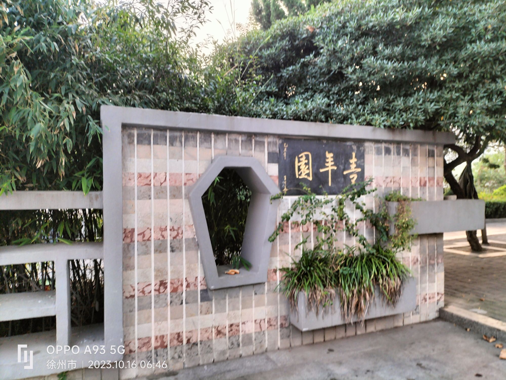 青年园旅行图片 1