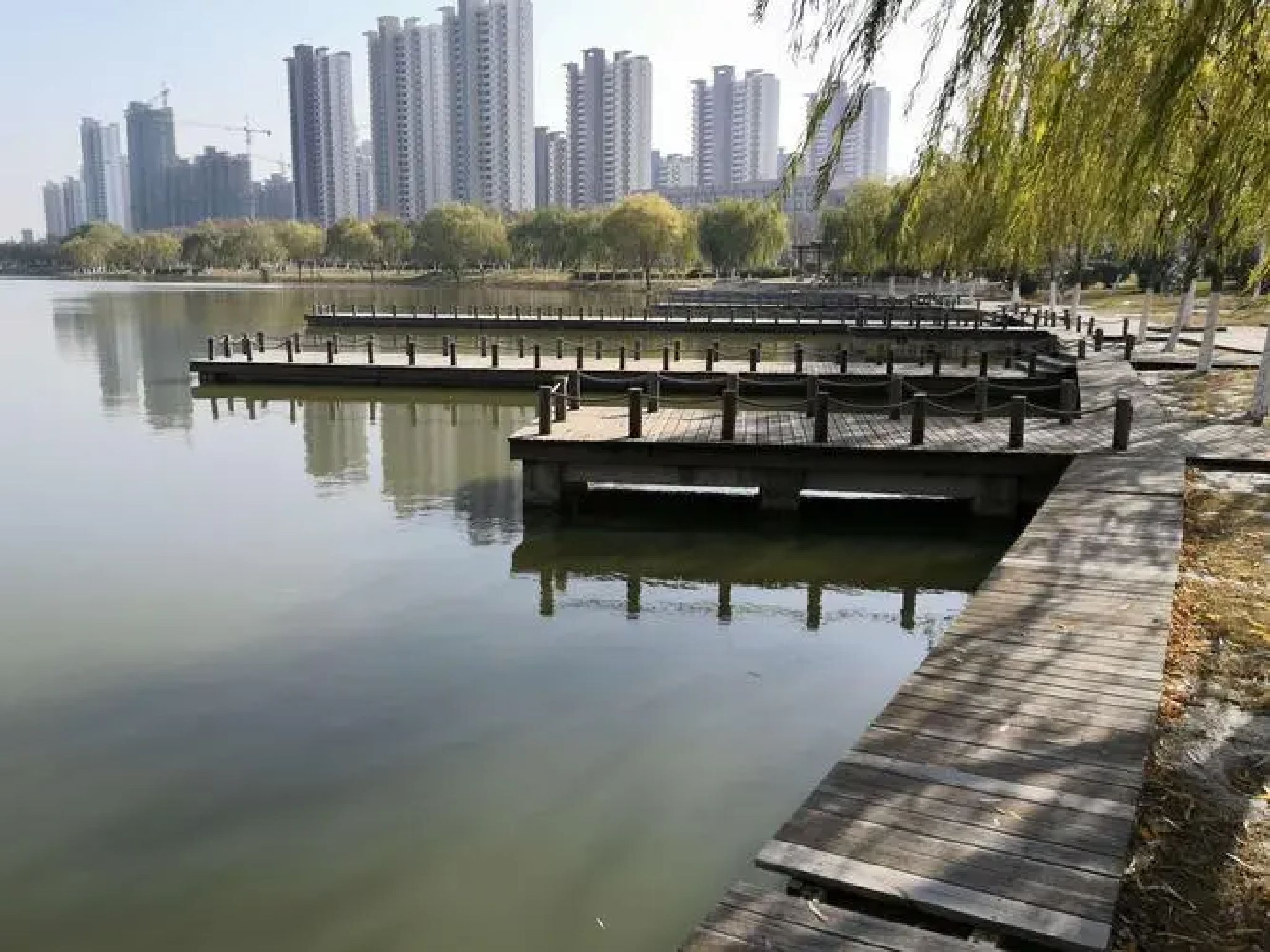 江苏九里湖国家湿地公园旅行图片 3