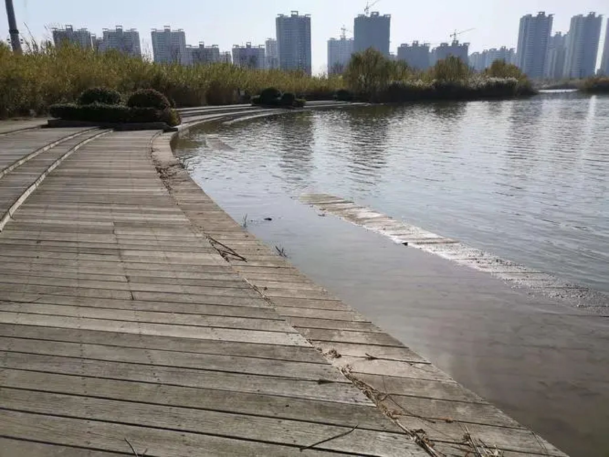 江苏九里湖国家湿地公园旅行图片 2