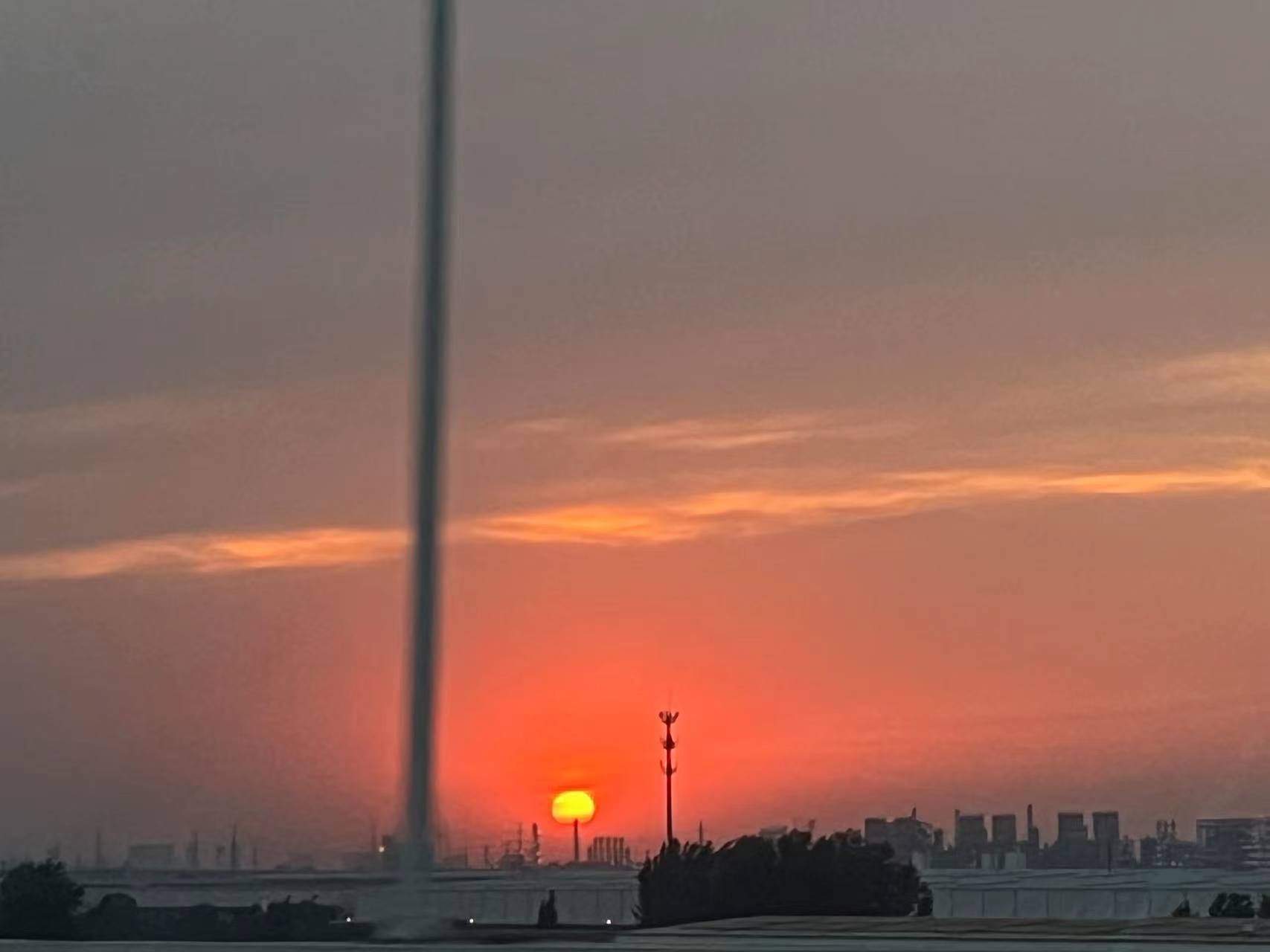 江苏九里湖国家湿地公园旅行图片 2