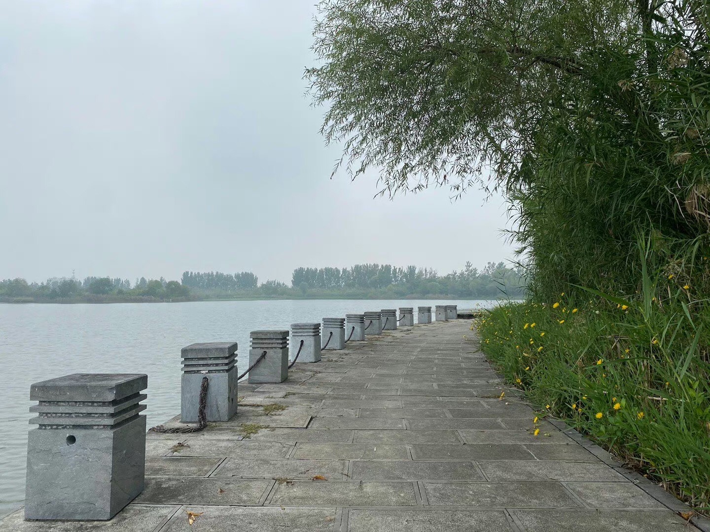 江苏九里湖国家湿地公园旅行图片 3