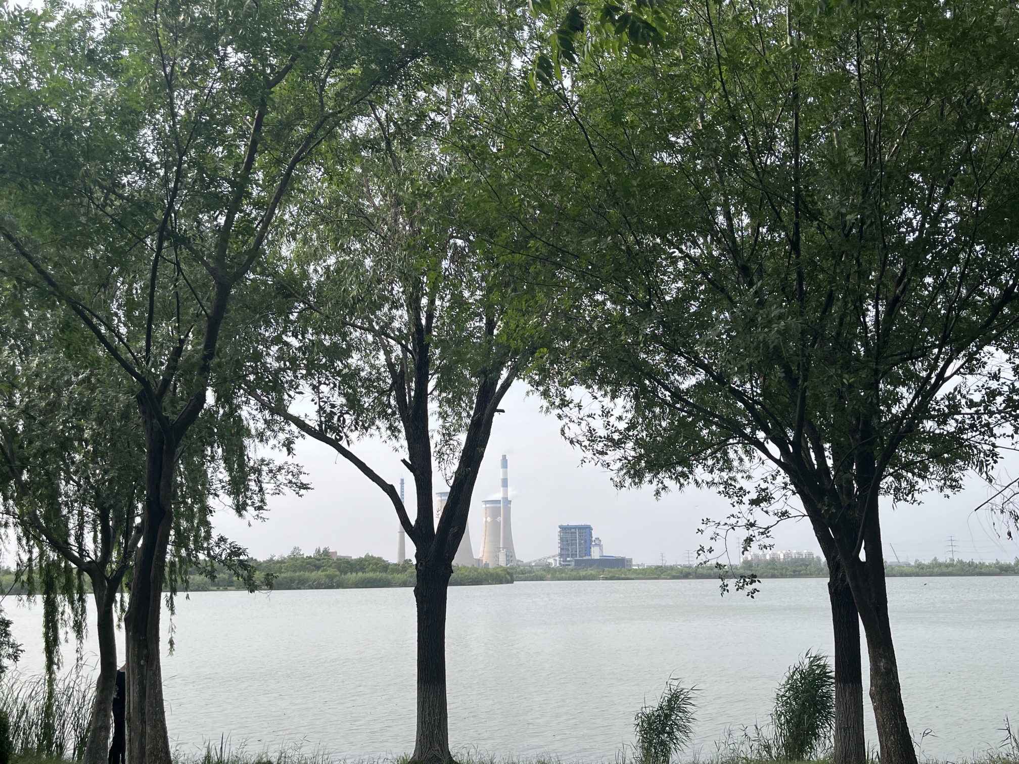 江苏九里湖国家湿地公园旅行图片 1