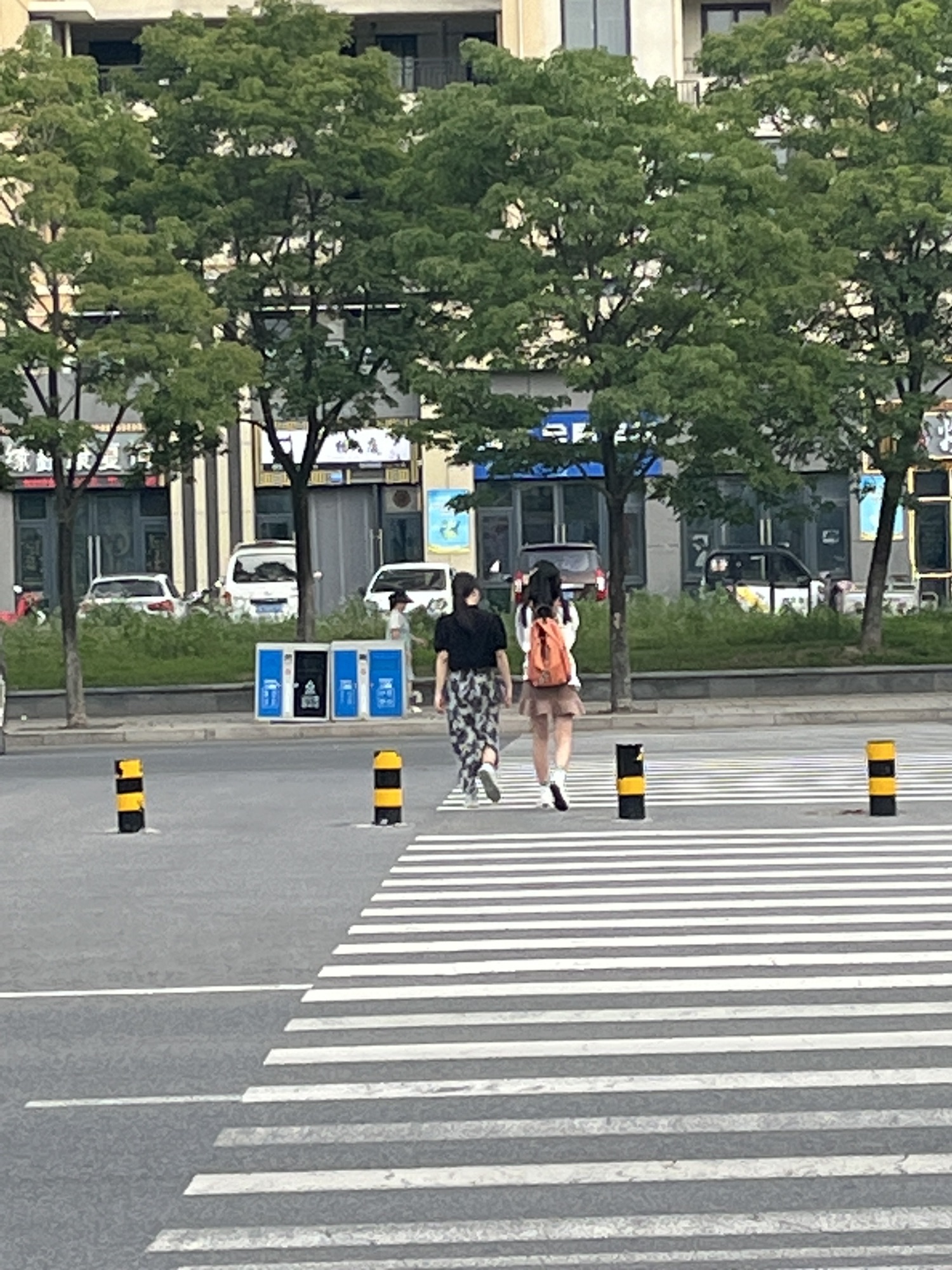江苏九里湖国家湿地公园旅行图片 3