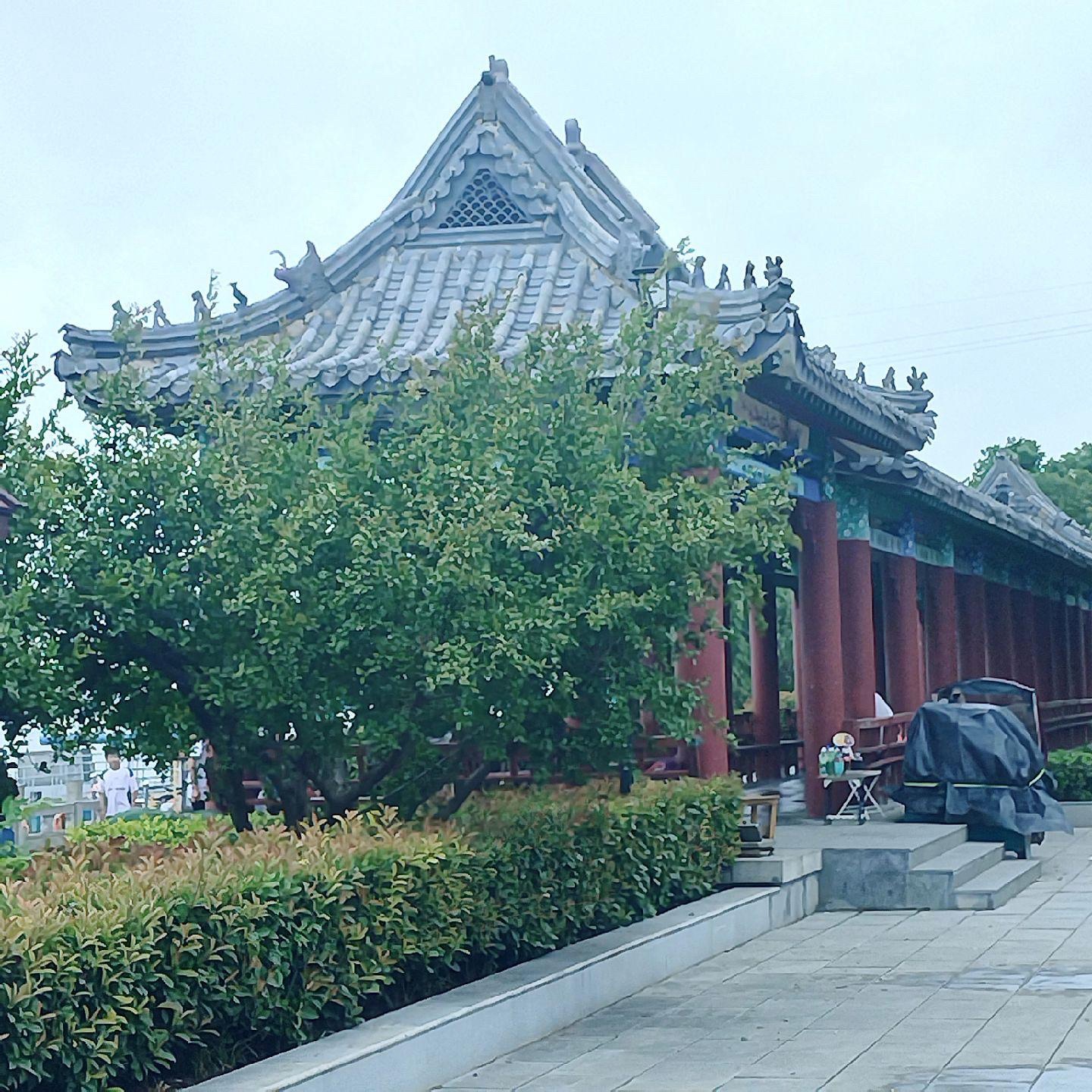 沛县微山湖千岛湿地旅行图片 3