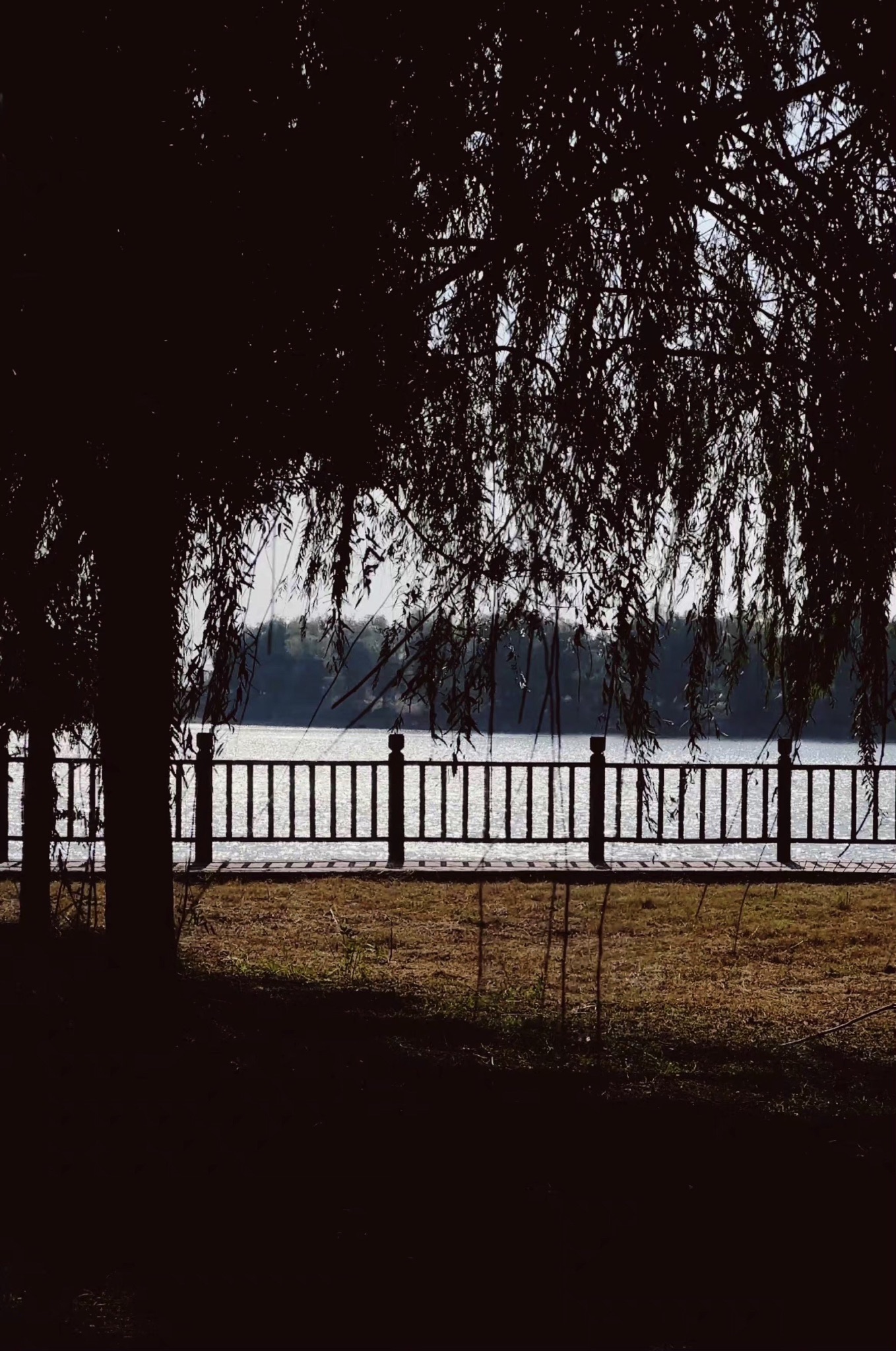 督公湖景区旅行图片 1