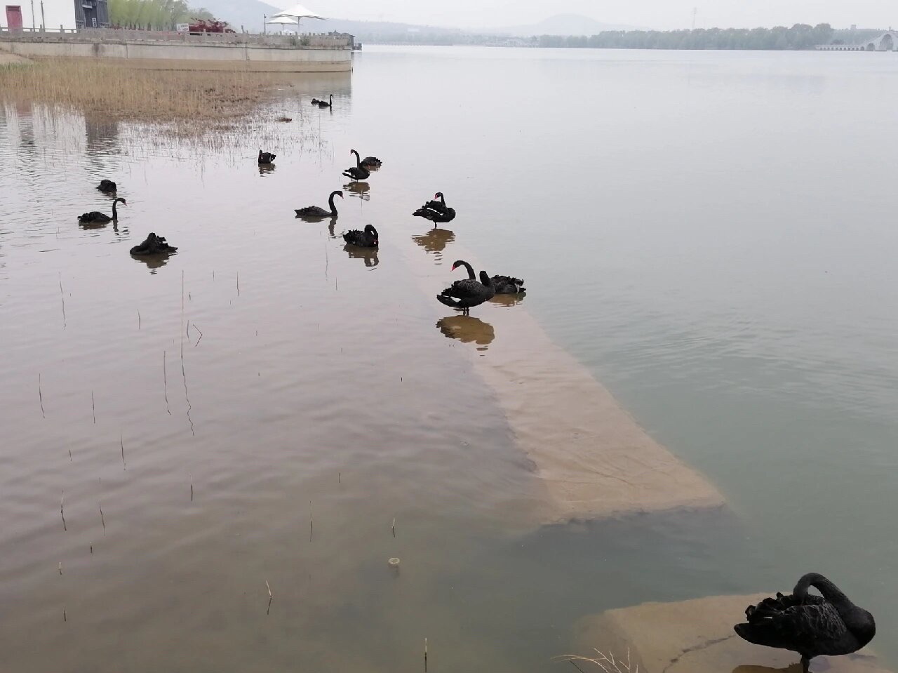 督公湖景区旅行图片 2