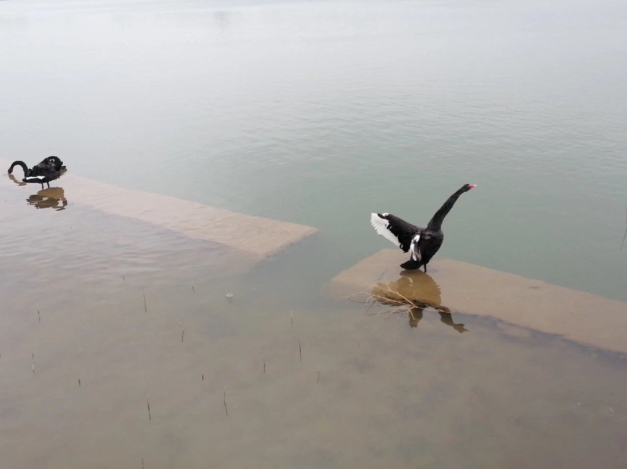 督公湖景区旅行图片 1
