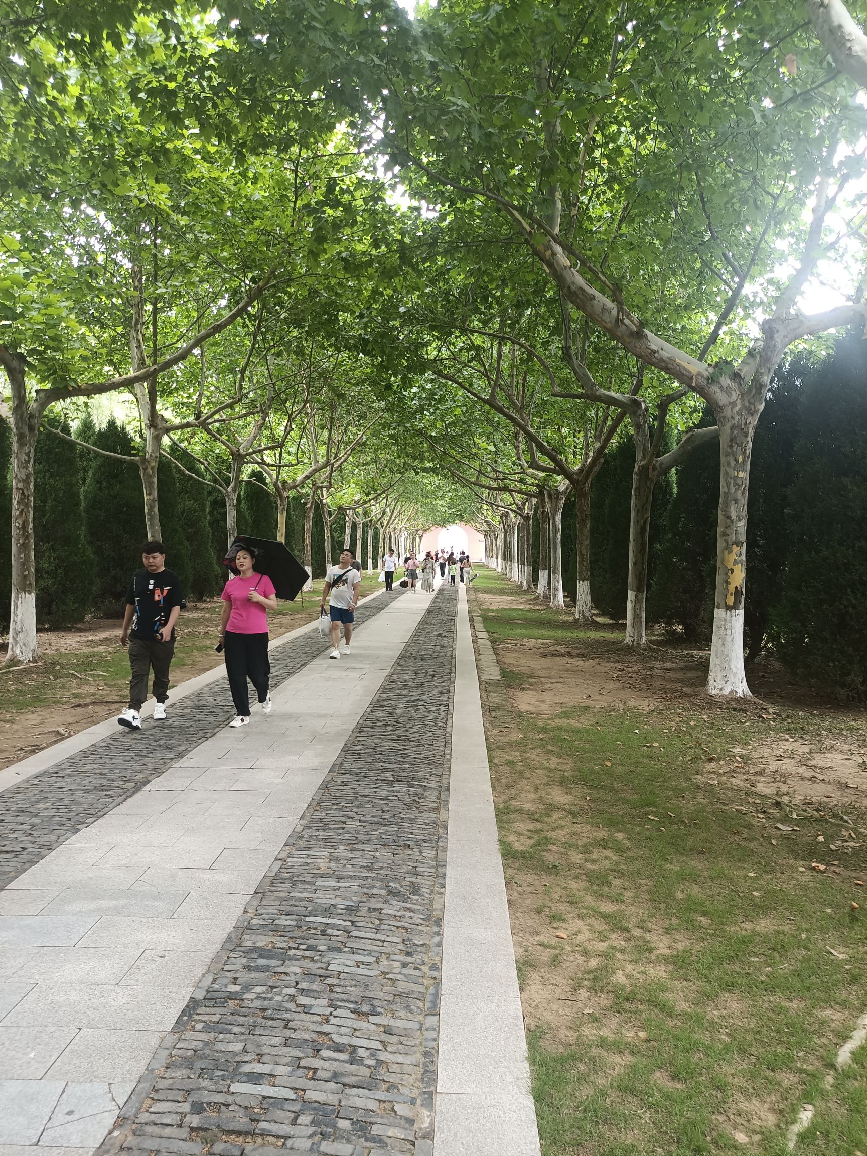 明祖陵旅行图片 3