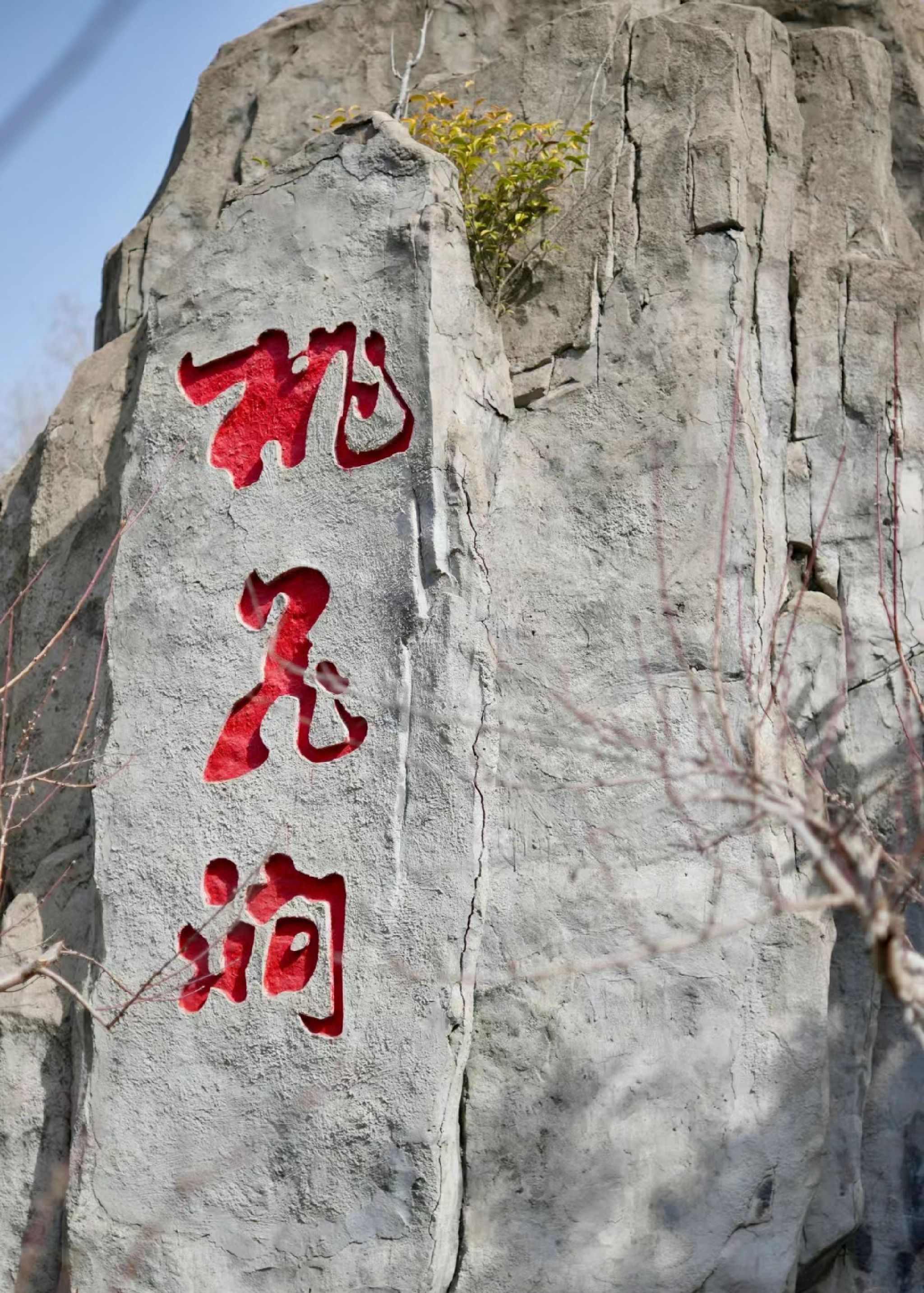 桃花坞旅行图片 2