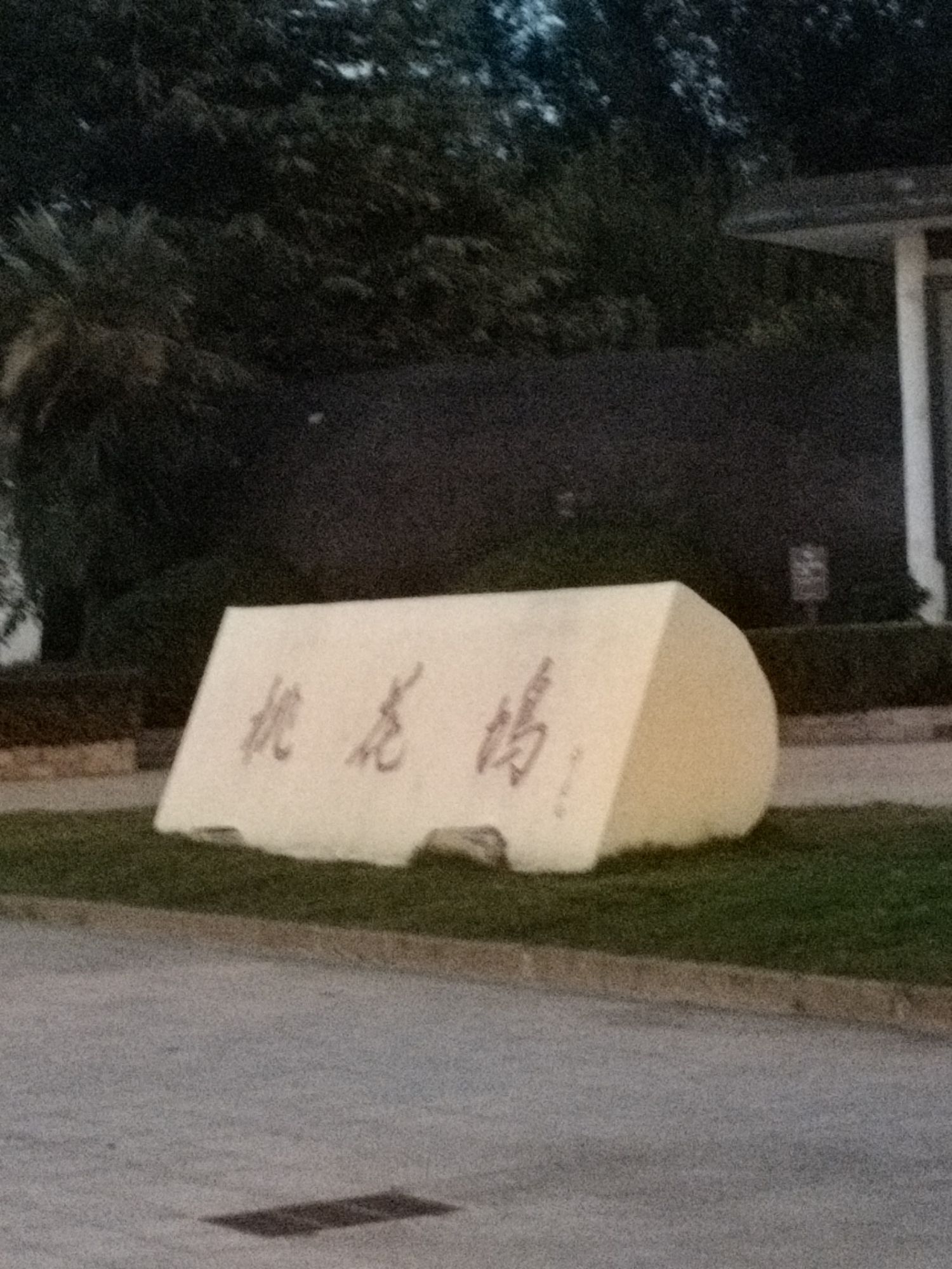 桃花坞旅行图片 2