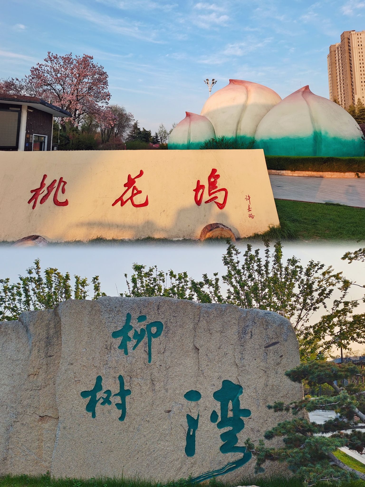桃花坞旅行图片 1