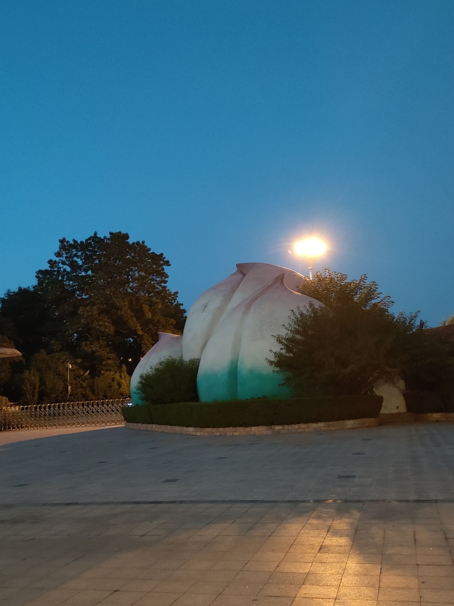 桃花坞旅行图片 1