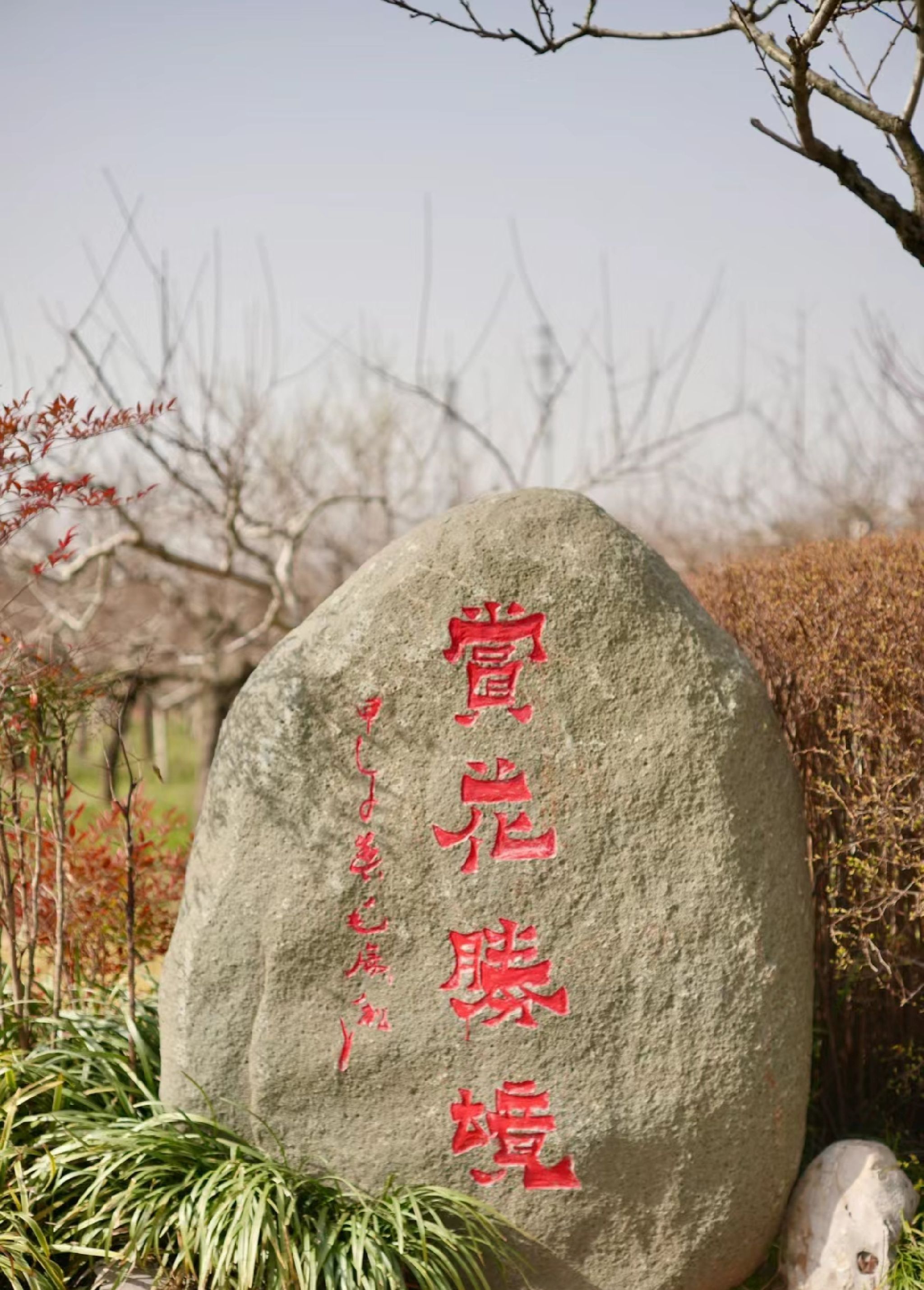 桃花坞旅行图片 3