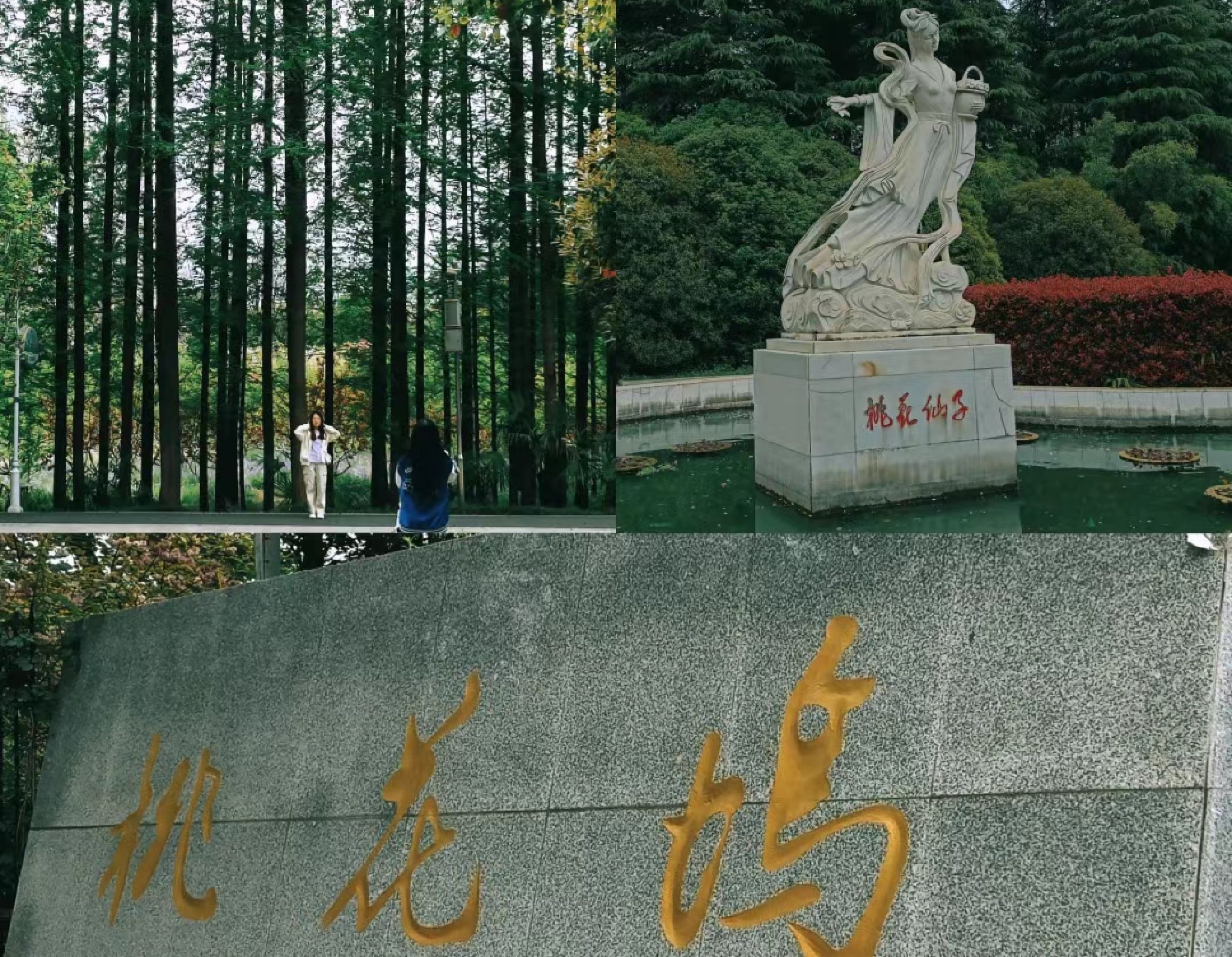 桃花坞旅行图片 1