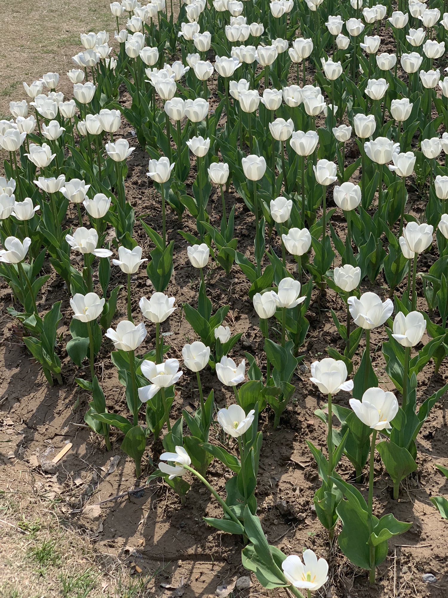 钵池山公园旅行图片 3
