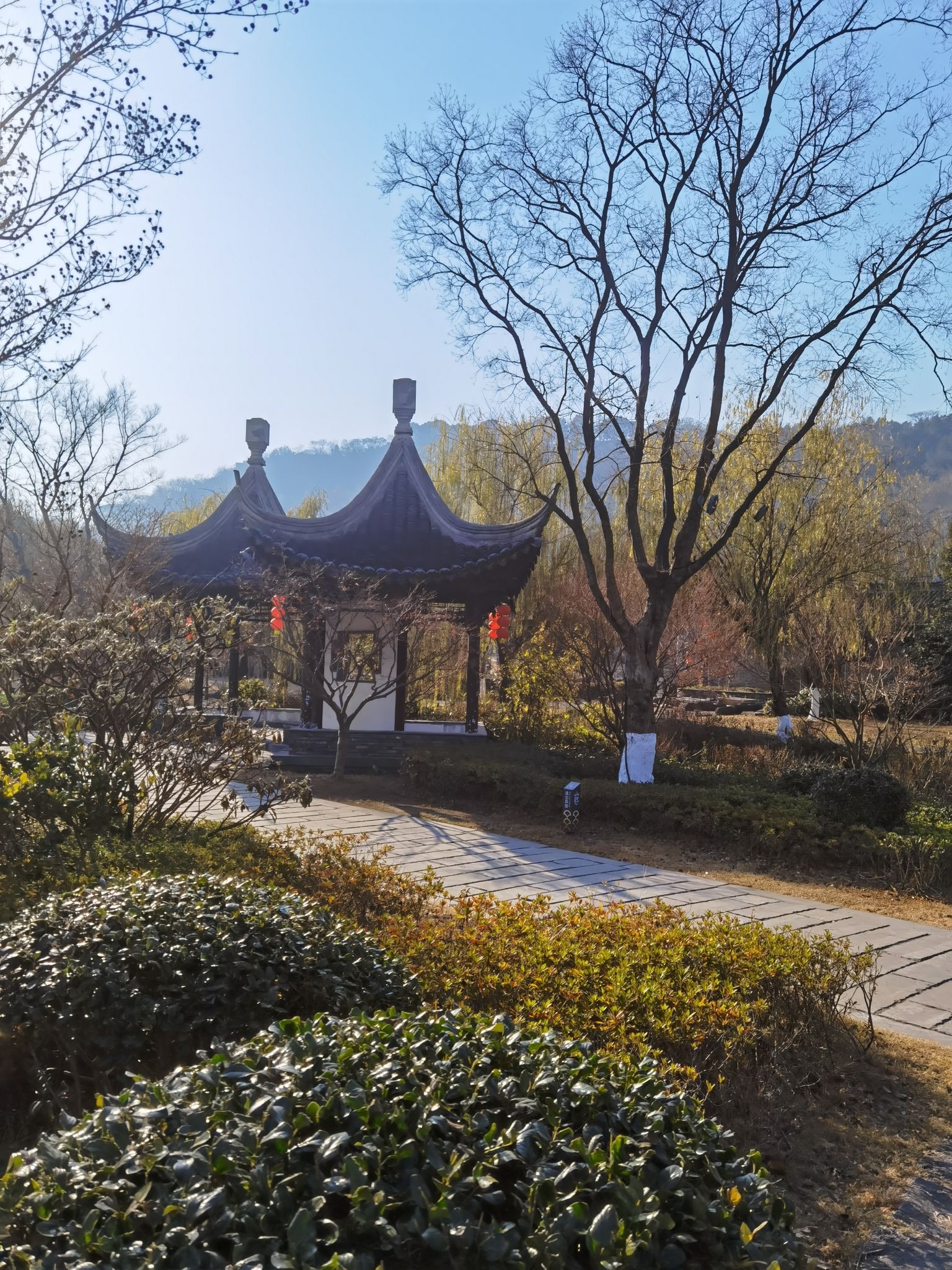 戚大山森林公园旅行图片 1